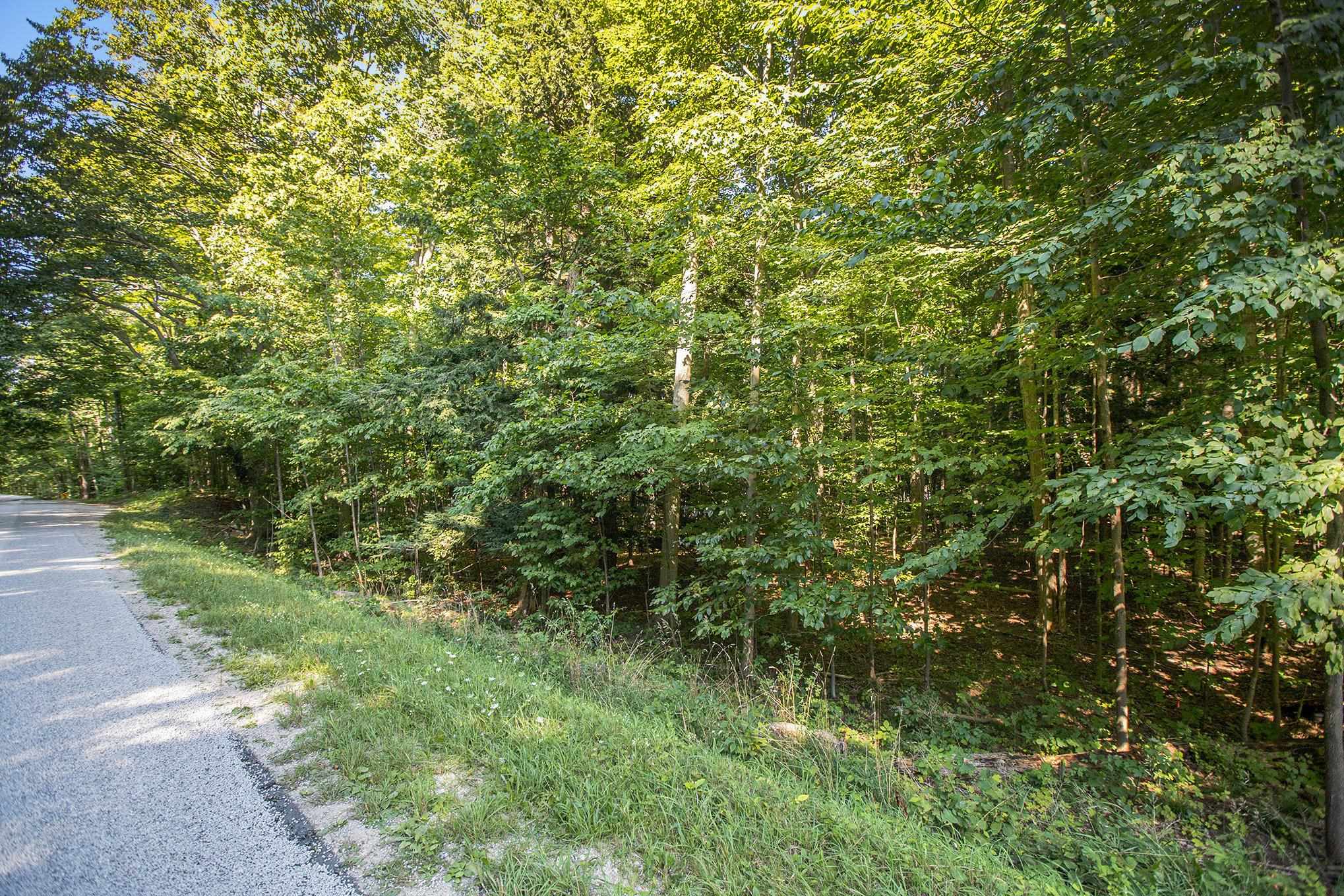 313 Shorewood Drive Crystal Lake Township MI 49635