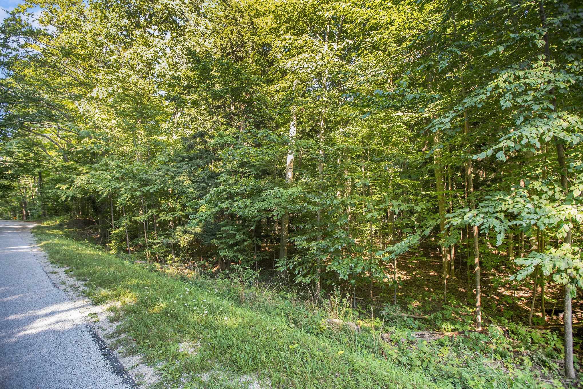 313 Shorewood Drive Crystal Lake Township MI 49635