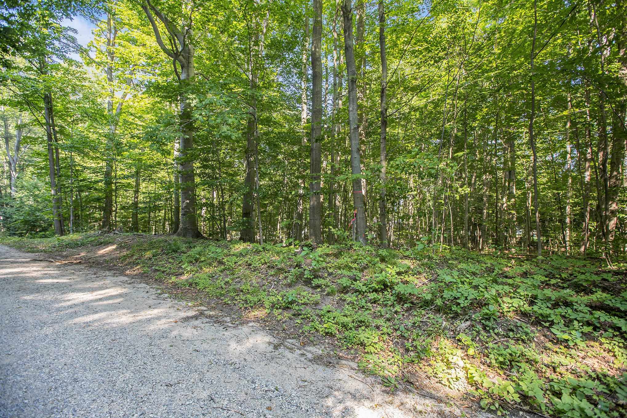 313 Shorewood Drive Crystal Lake Township MI 49635
