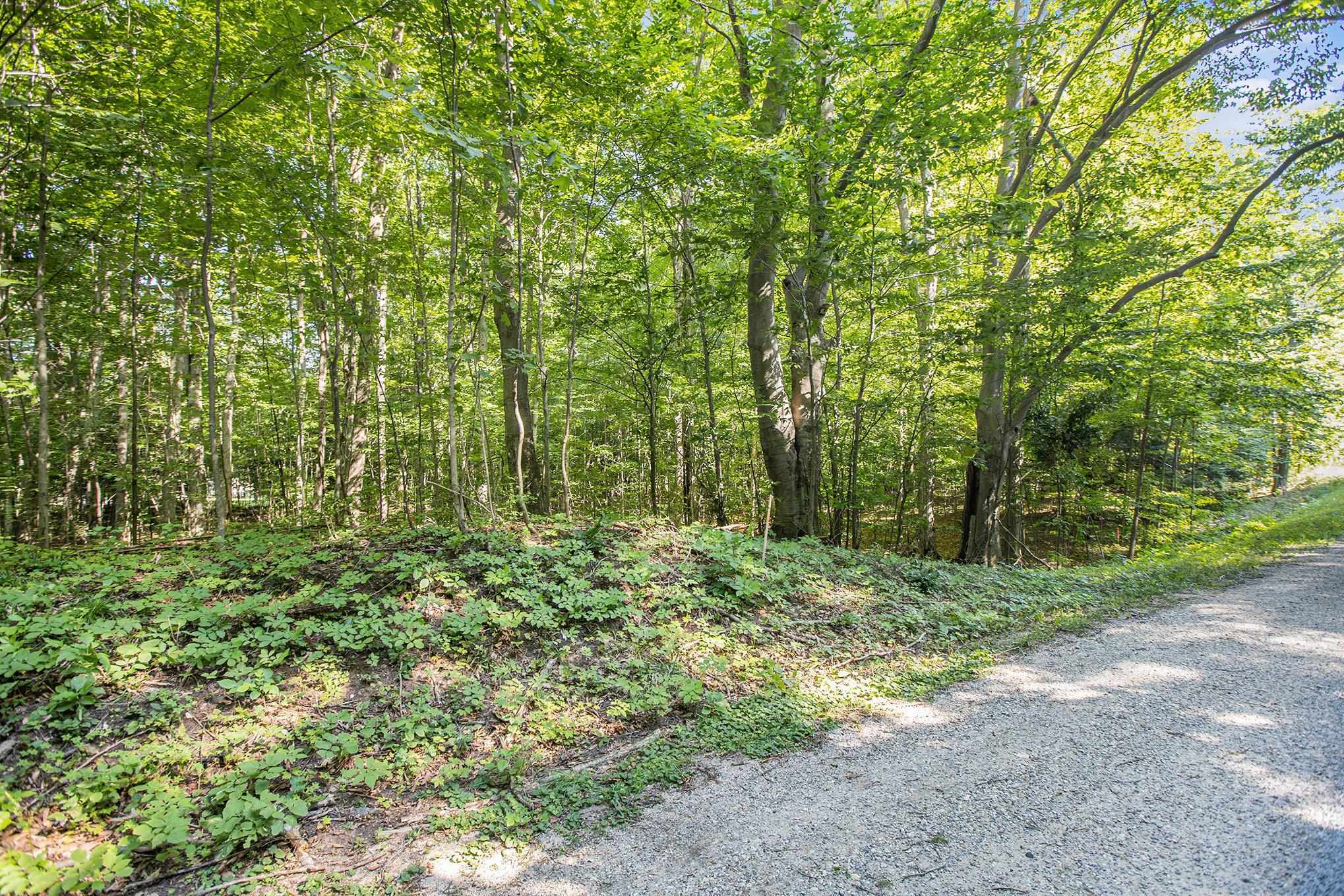 313 Shorewood Drive Crystal Lake Township MI 49635