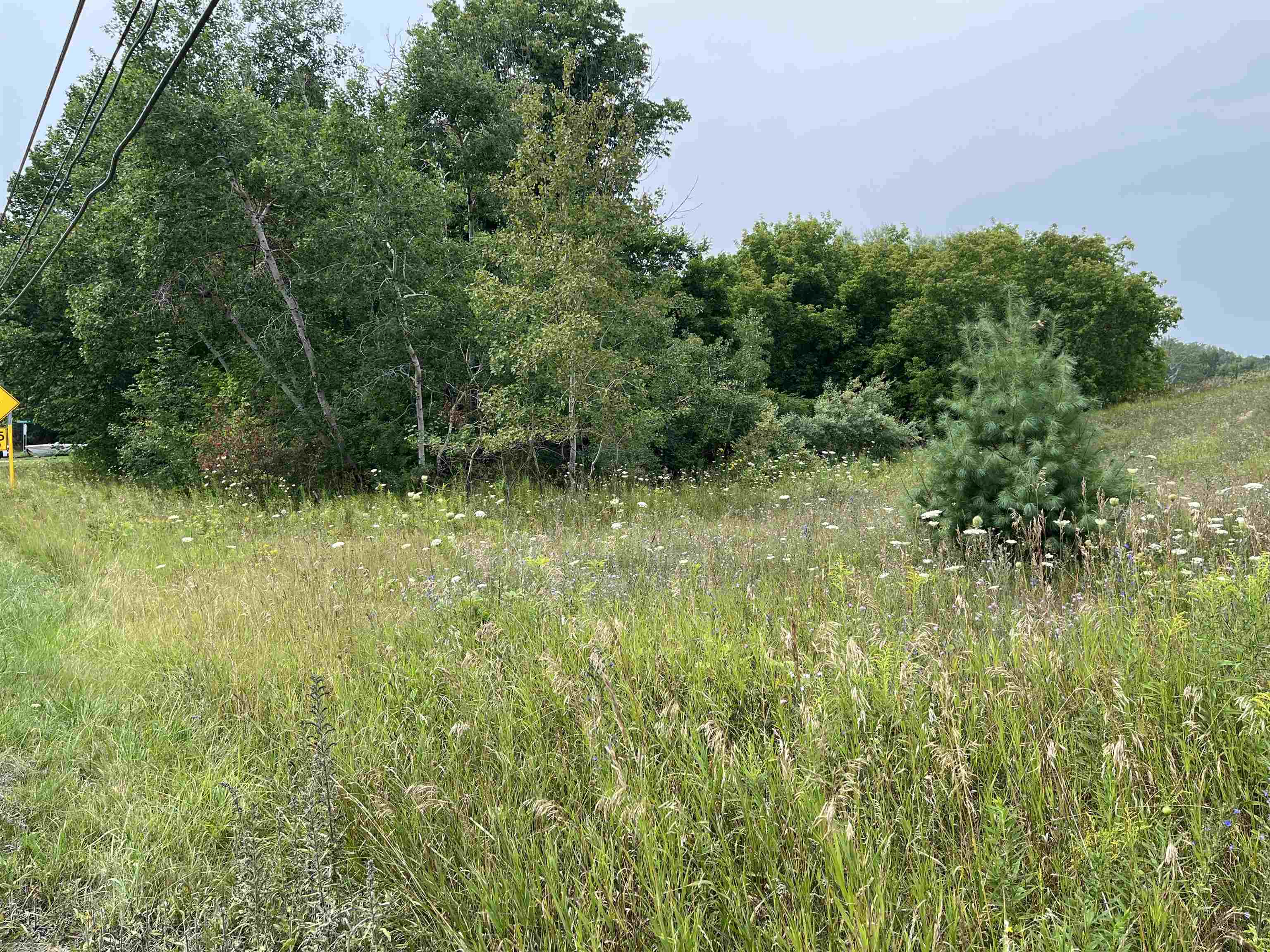 00 N M-88 Central Lake Township MI 49622
