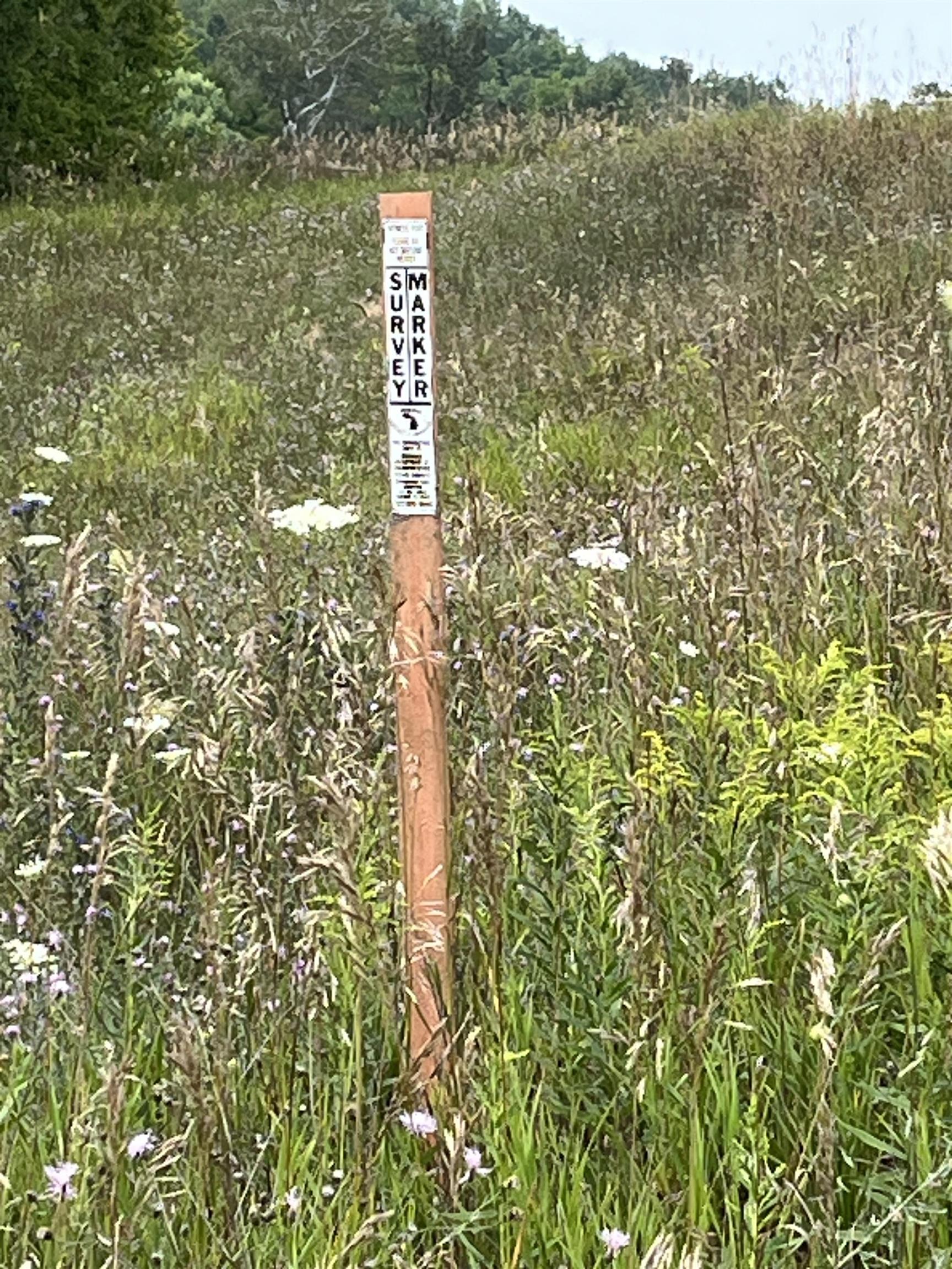 00 N M-88 Central Lake Township MI 49622