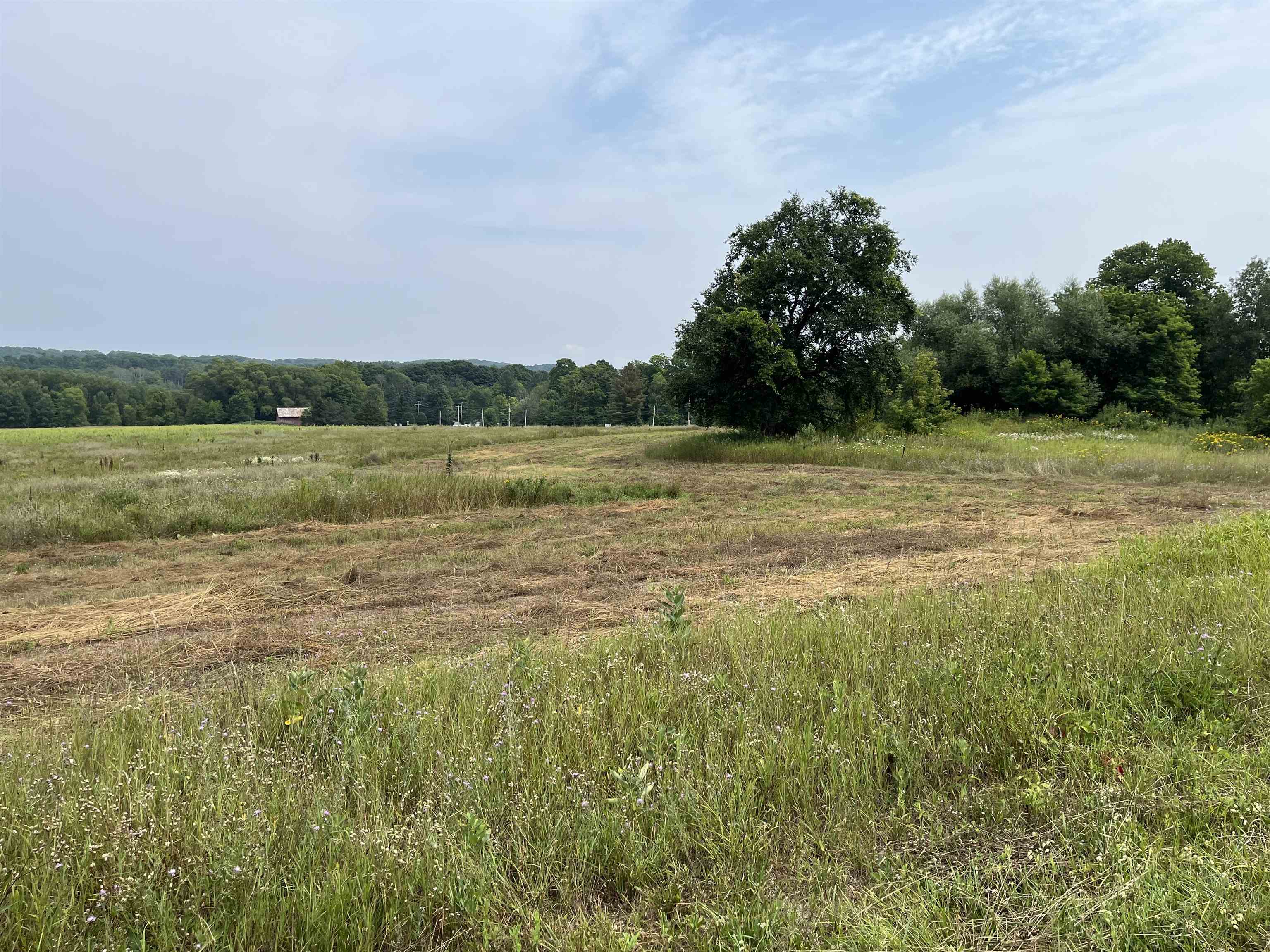 00 N M-88 Central Lake Township MI 49622