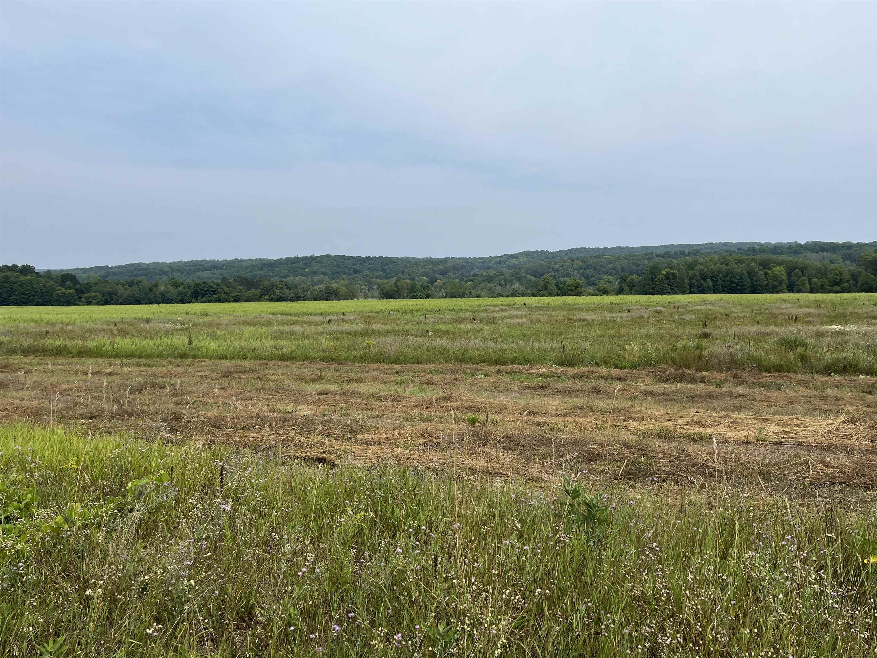00 N M-88 Central Lake Township MI 49622