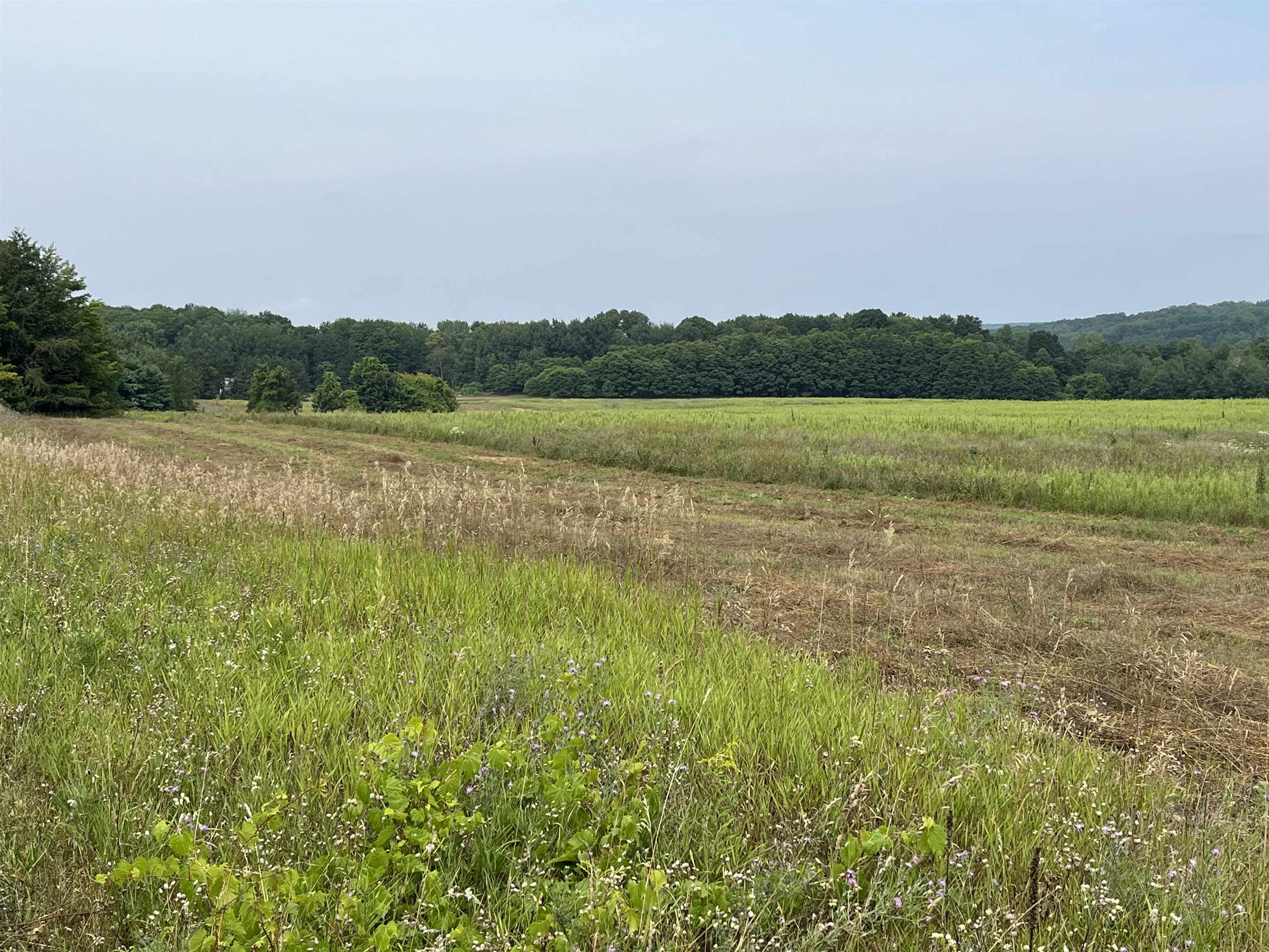 00 N M-88 Central Lake Township MI 49622
