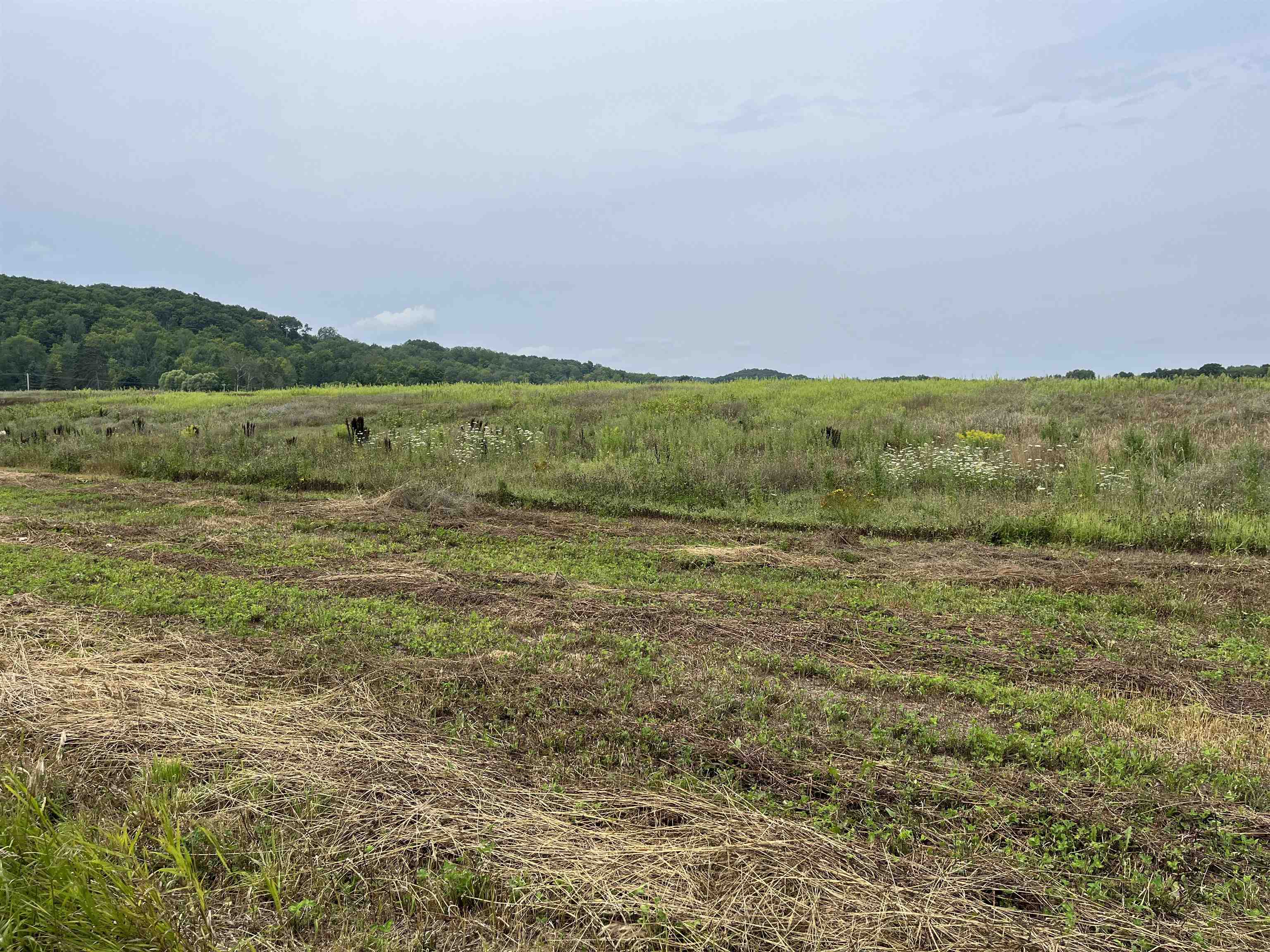 00 N M-88 Central Lake Township MI 49622