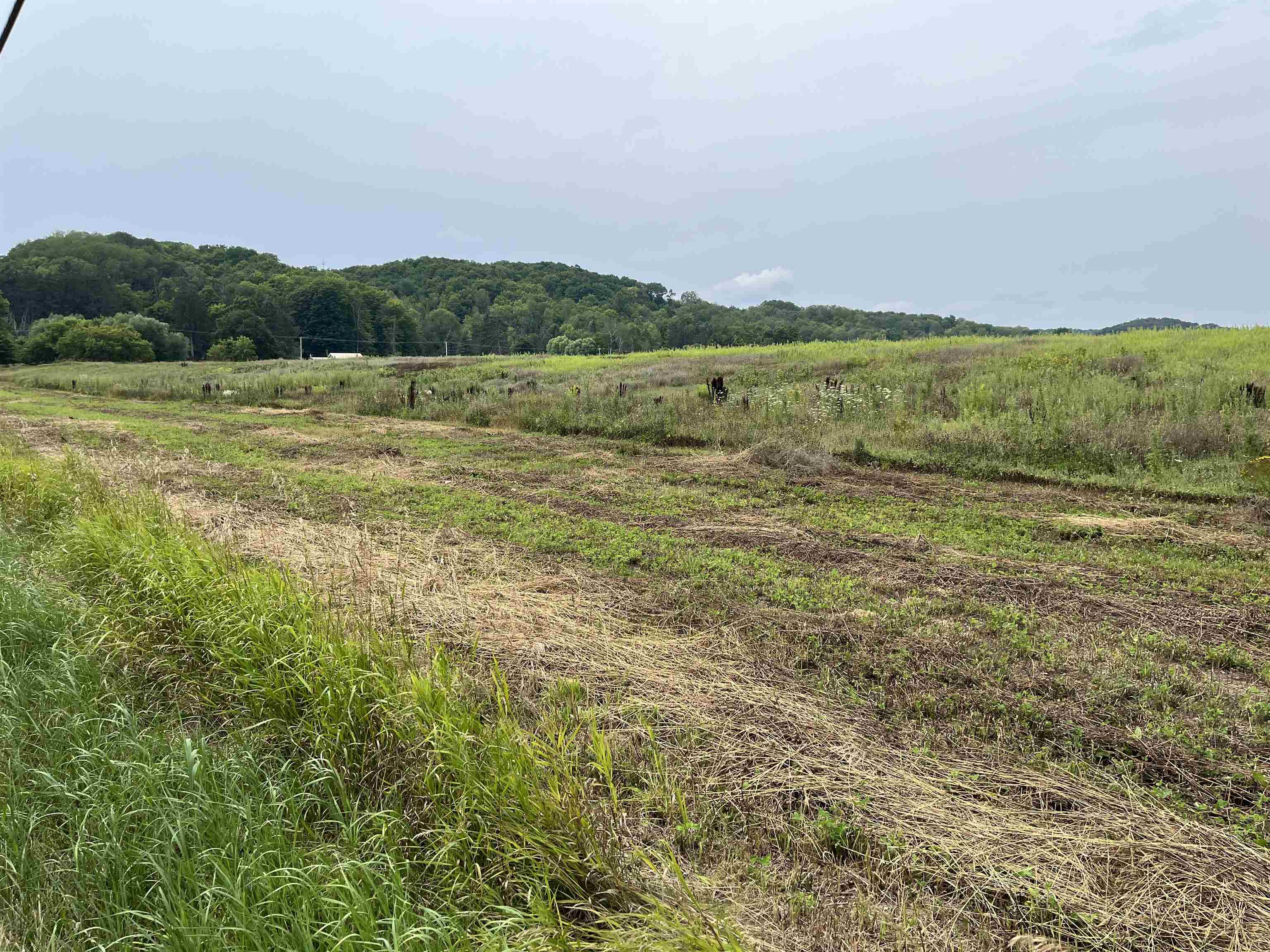 00 N M-88 Central Lake Township MI 49622