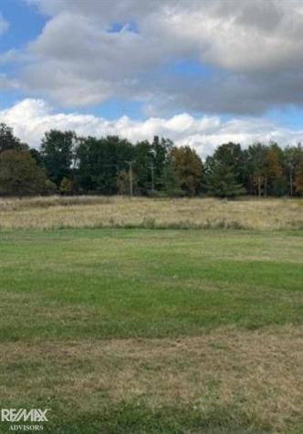 00 Oatman Road Greenwood Township MI 48006