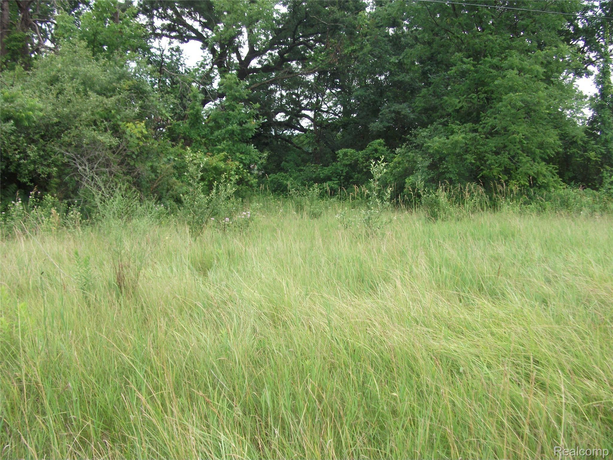 0000 Kathleen Lake Road Brandon Charter Township MI 48462