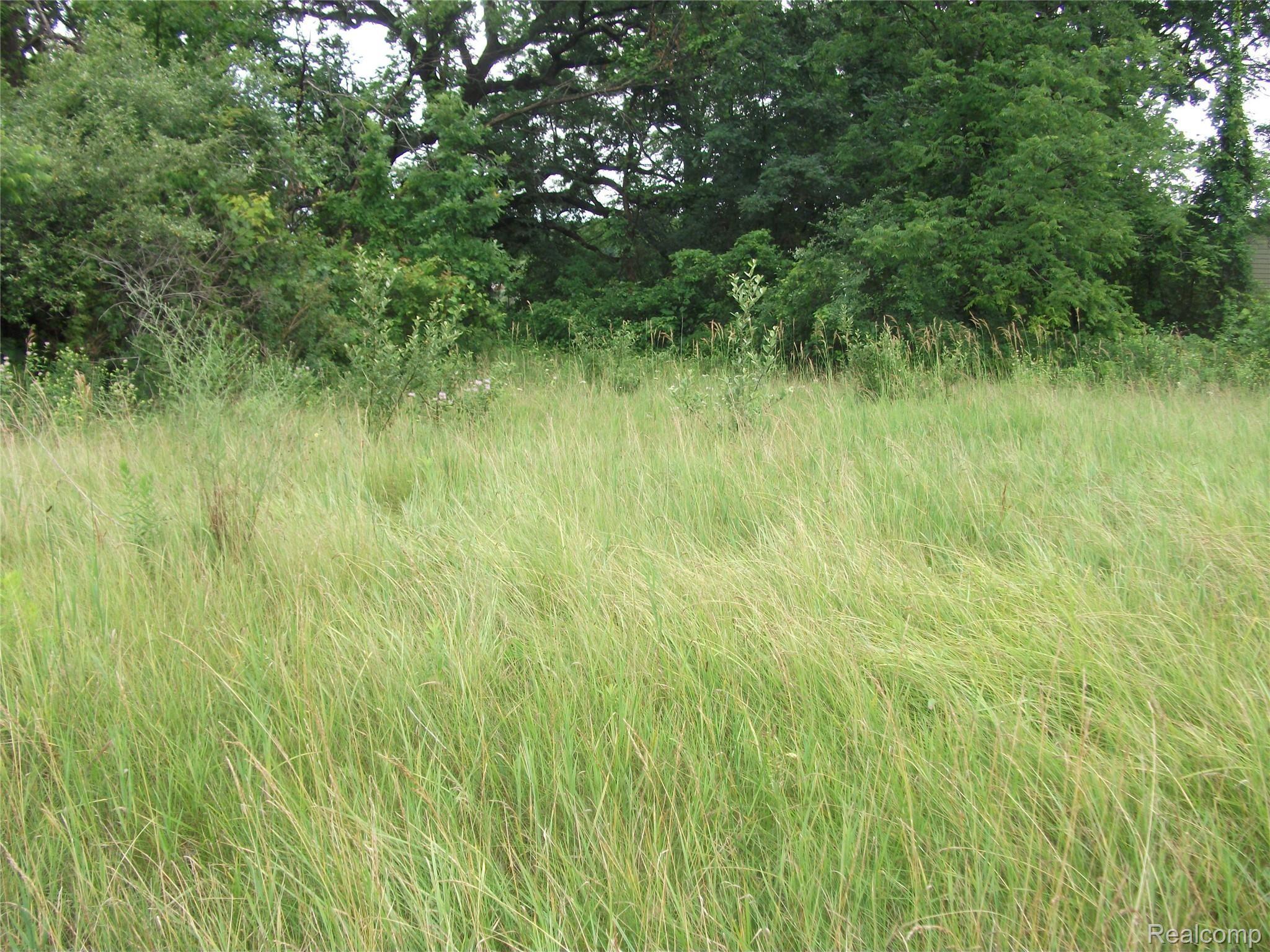 0000 Kathleen Lake Road Brandon Charter Township MI 48462