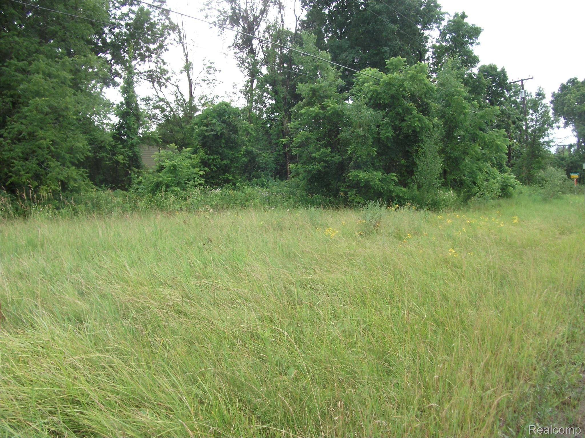 0000 Kathleen Lake Road Brandon Charter Township MI 48462
