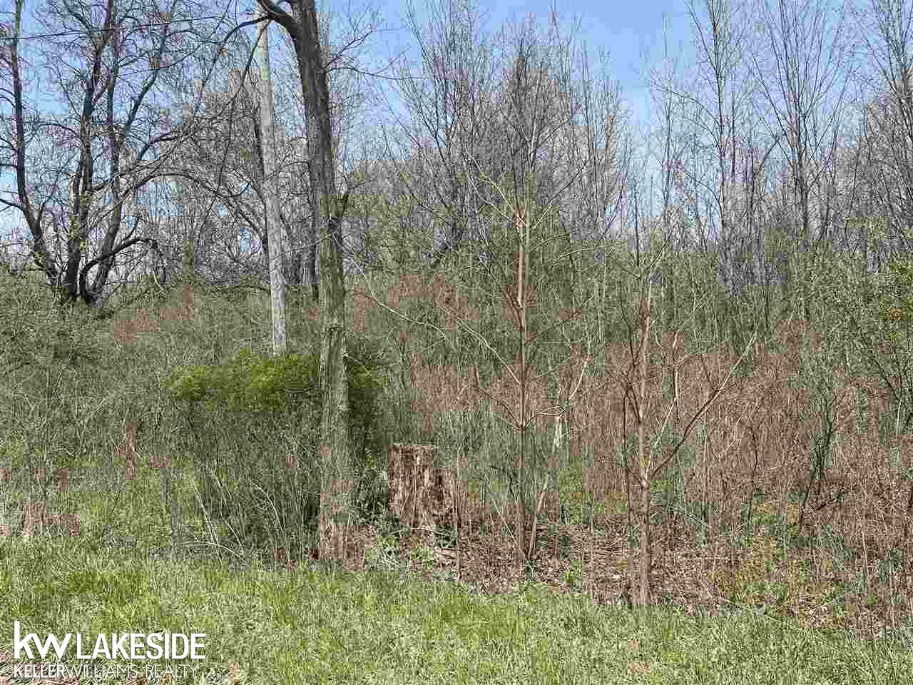 0 Jeddo Lynn Township MI 48416