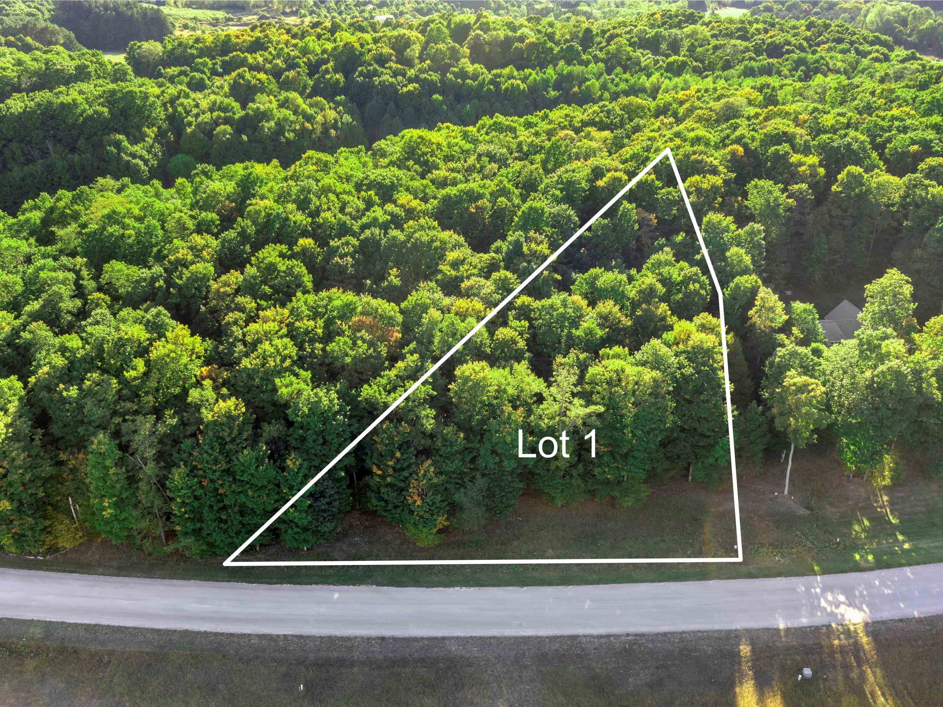 001 Heather Ridge Trail Homestead Township MI 49617