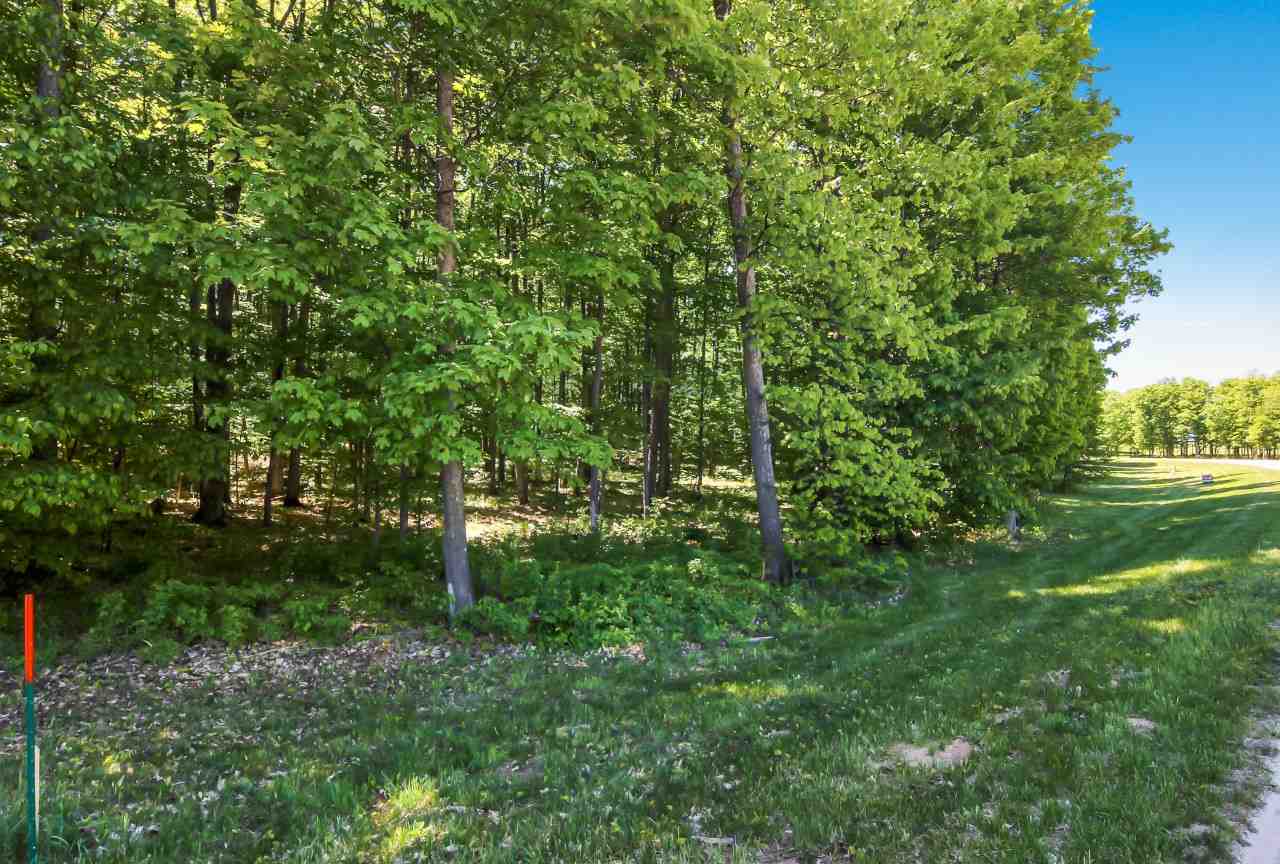 001 Heather Ridge Trail Homestead Township MI 49617