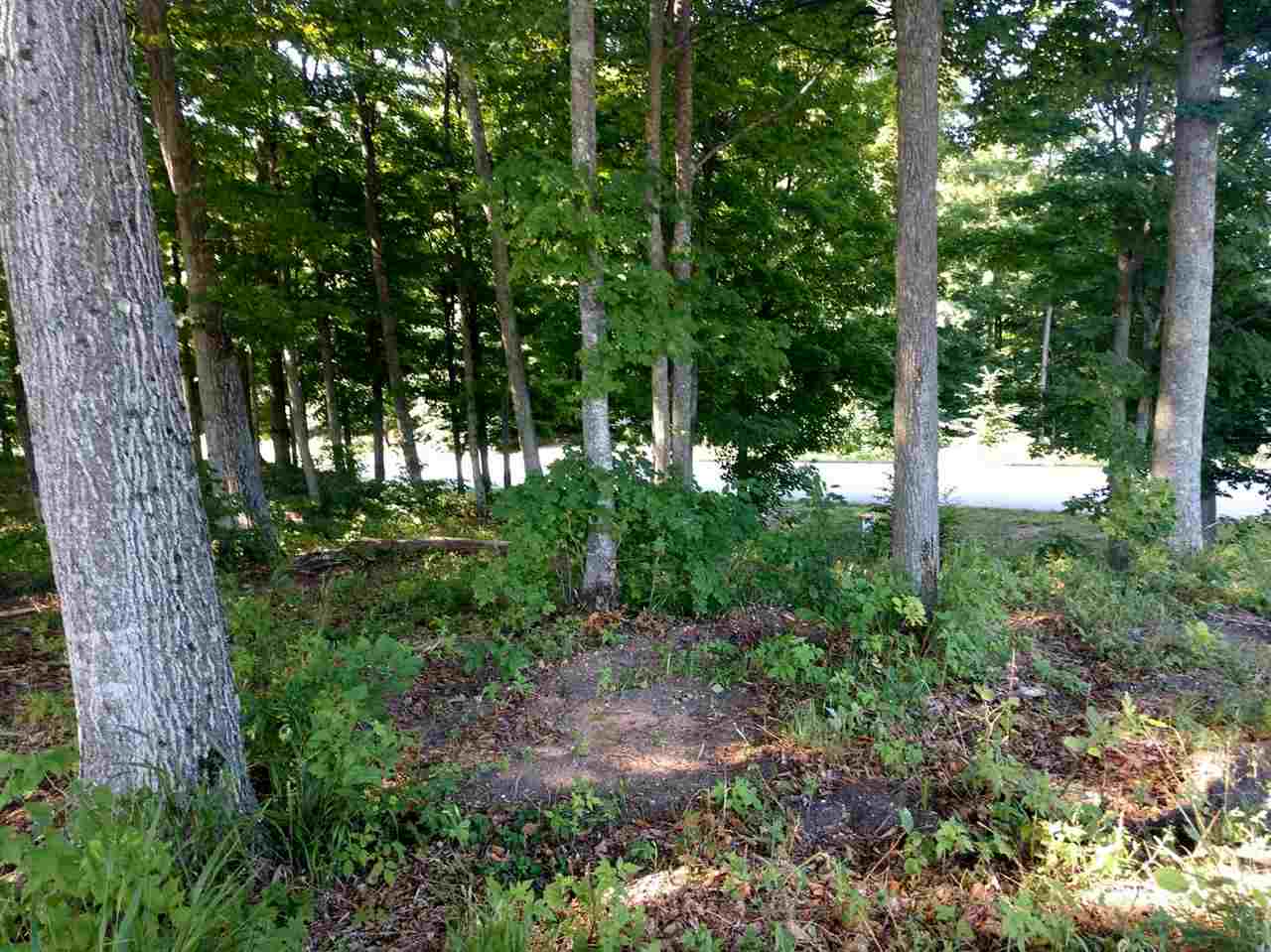 001 Heather Ridge Trail Homestead Township MI 49617