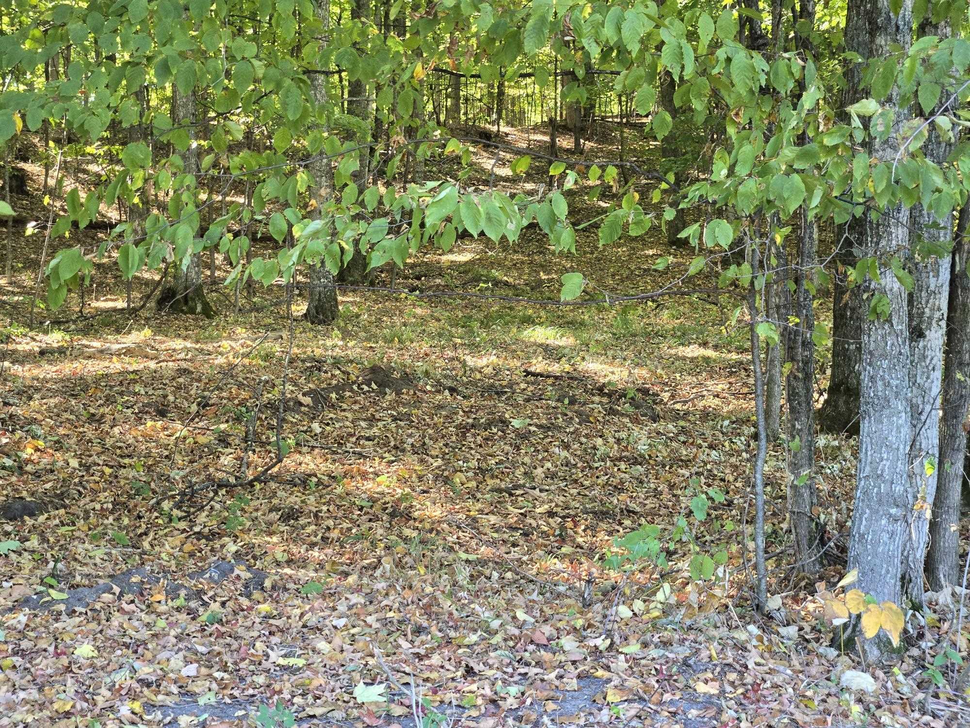 001 Heather Ridge Trail Homestead Township MI 49617