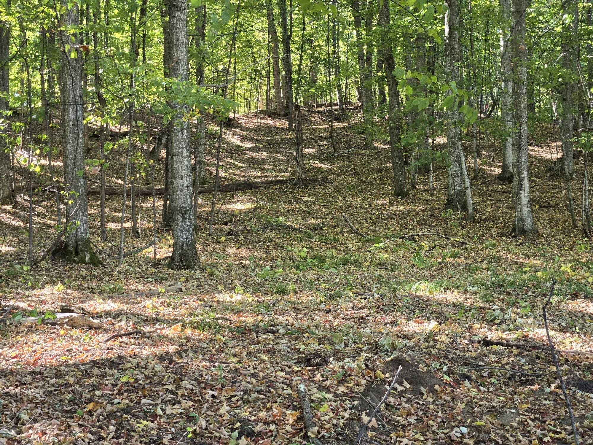 001 Heather Ridge Trail Homestead Township MI 49617