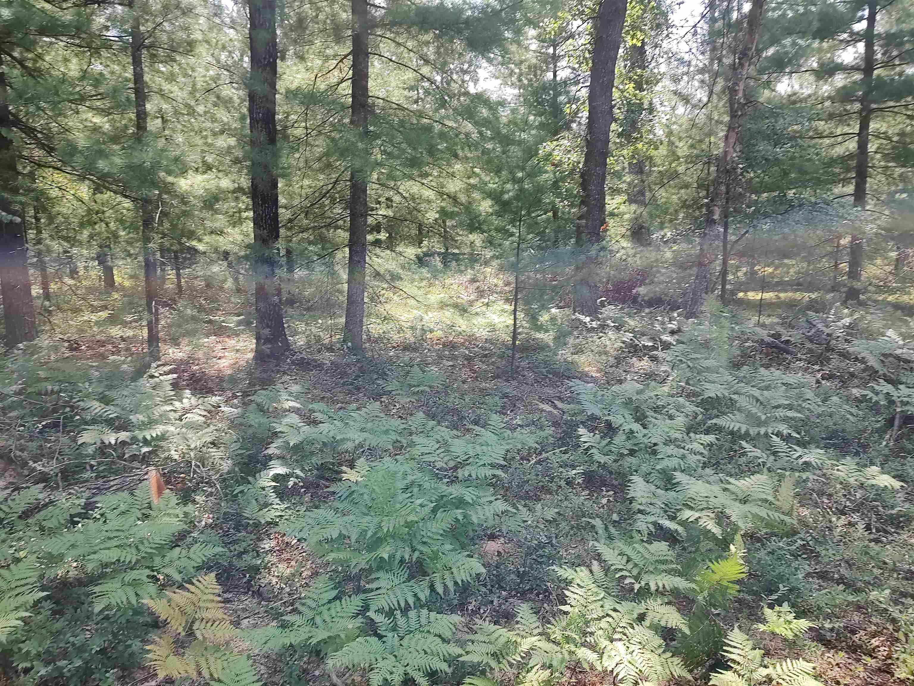 Lot 186 Winterset Drive Moffatt Township MI 48610
