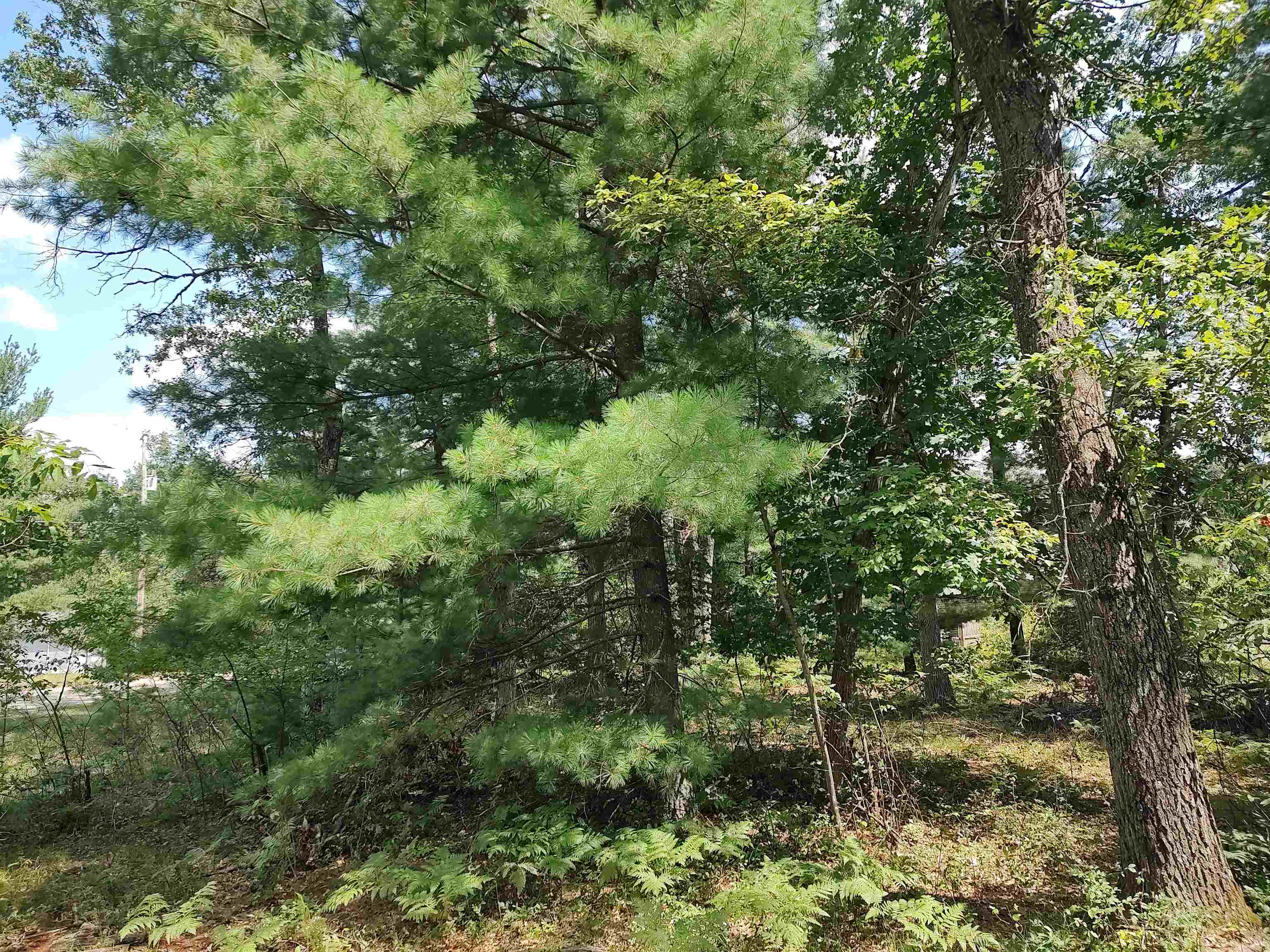 Lot 186 Winterset Drive Moffatt Township MI 48610