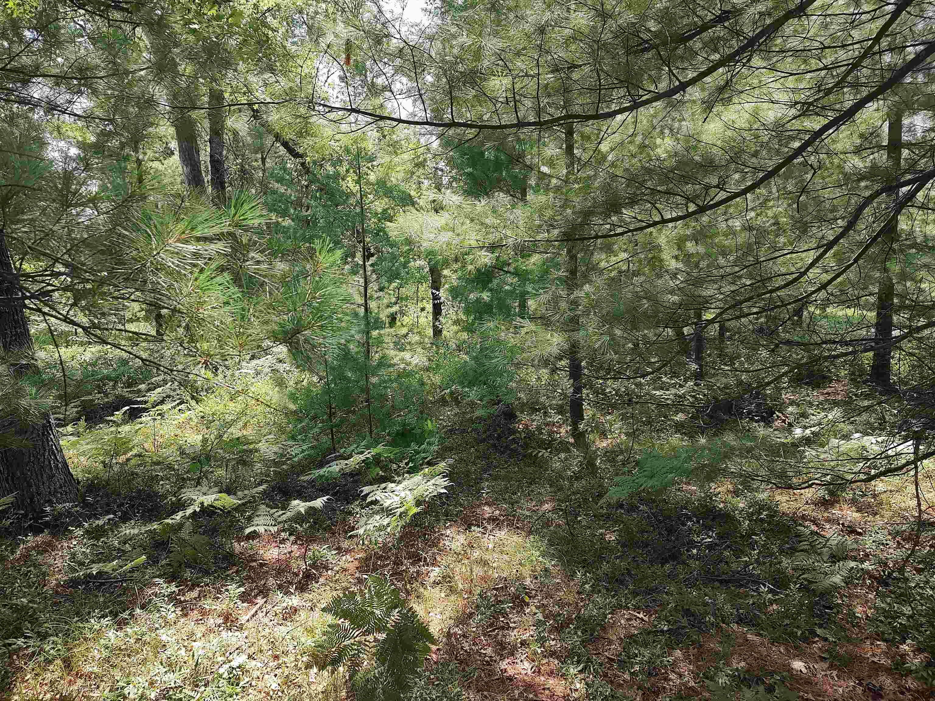 Lot 186 Winterset Drive Moffatt Township MI 48610