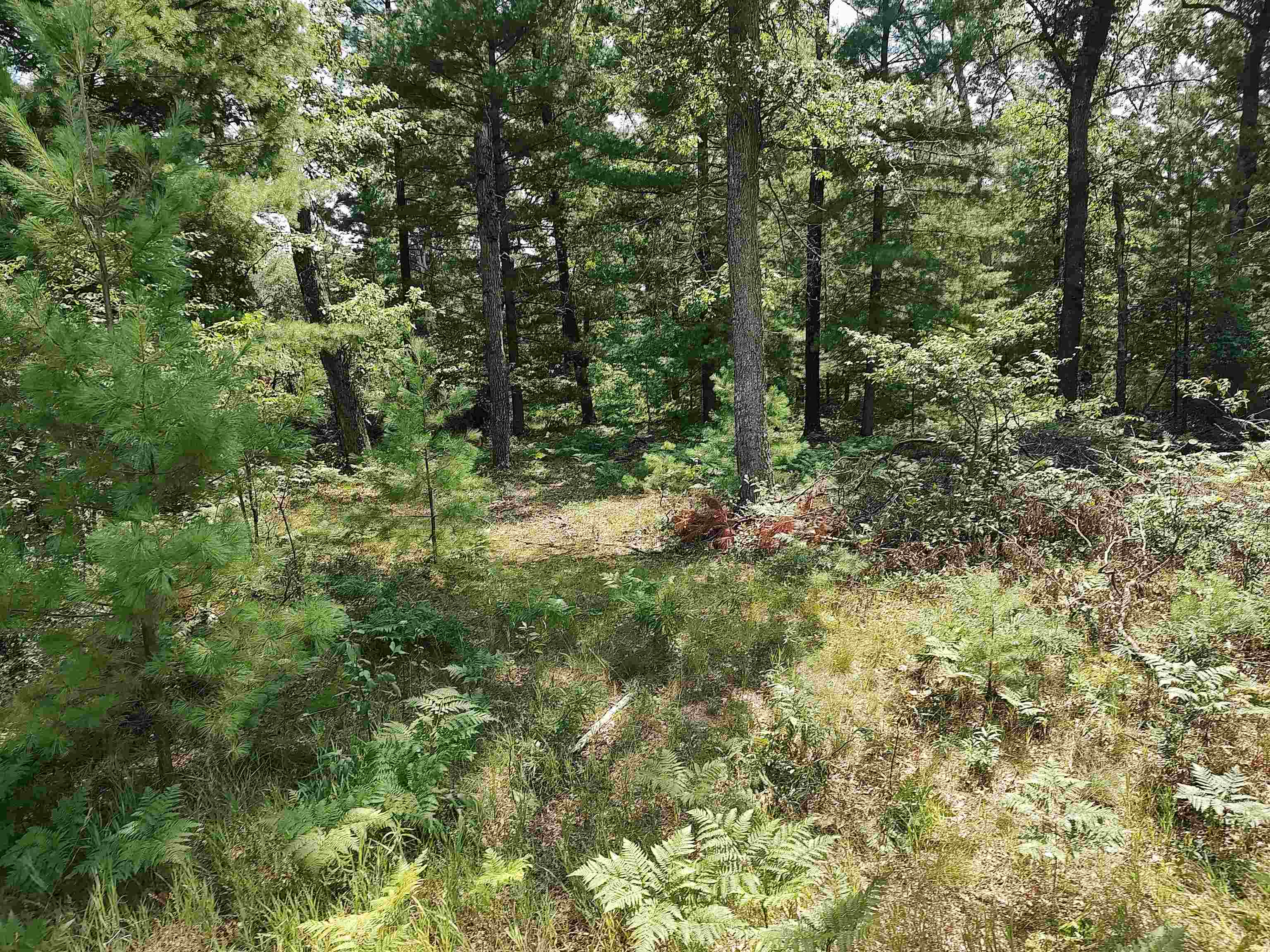 Lot 186 Winterset Drive Moffatt Township MI 48610