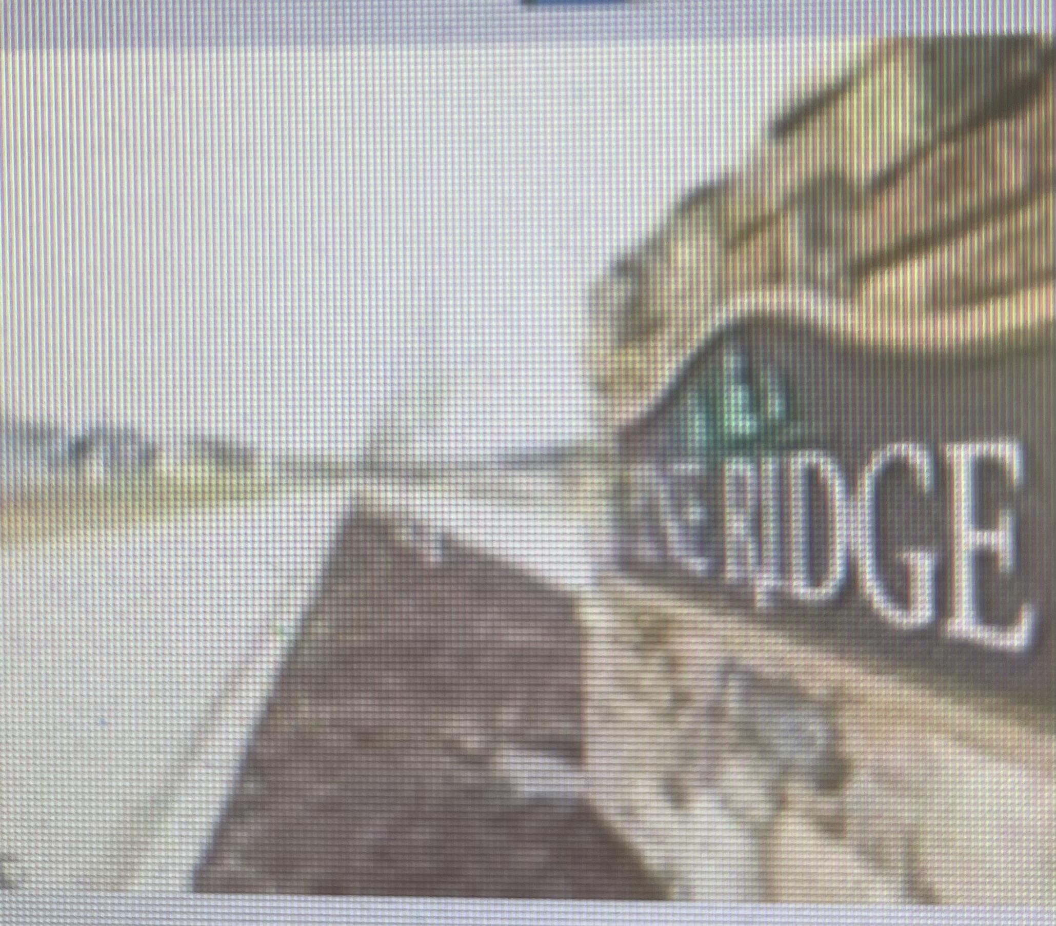 000 Ridge Deerfield Township MI 48858
