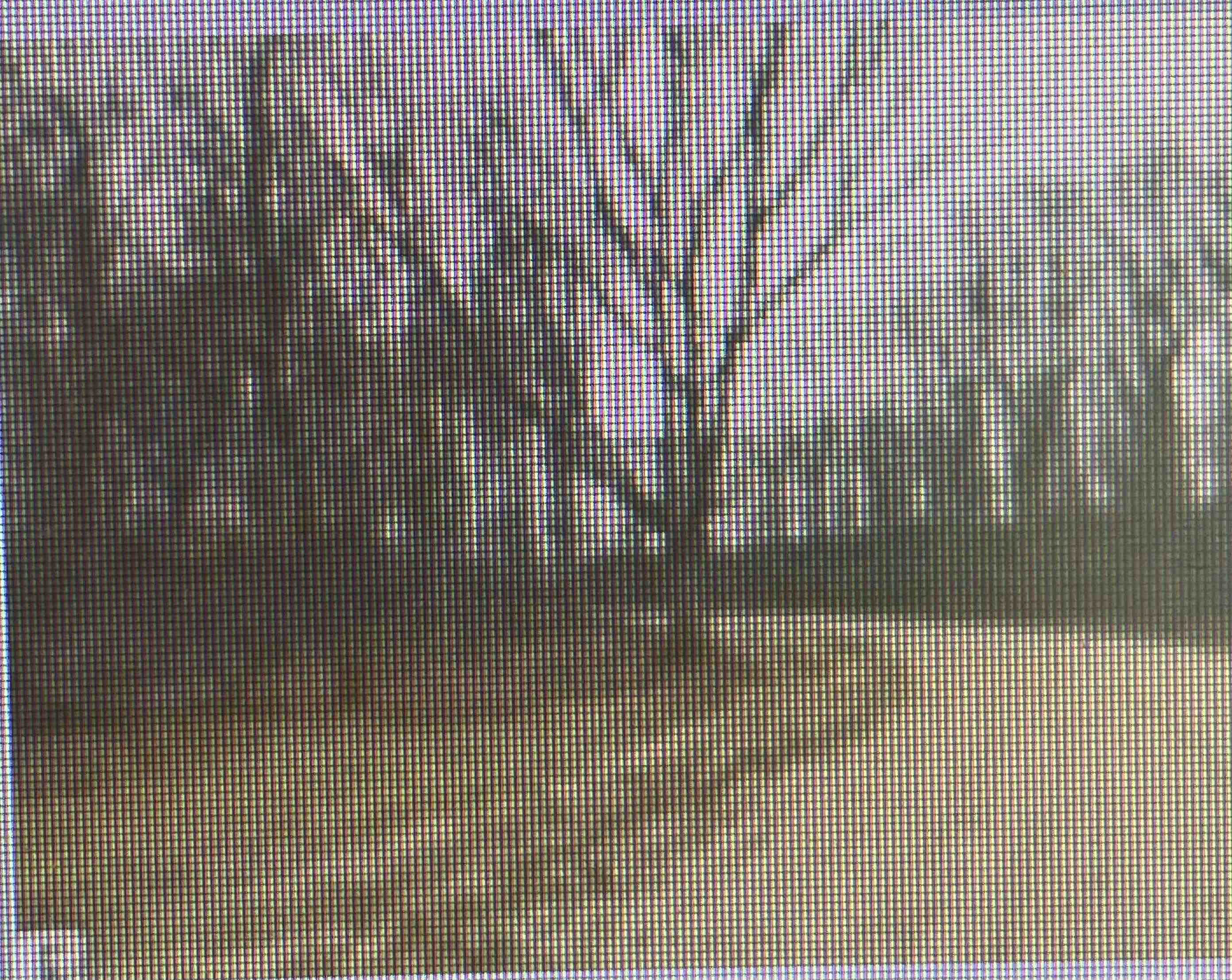 000 Ridge Deerfield Township MI 48858