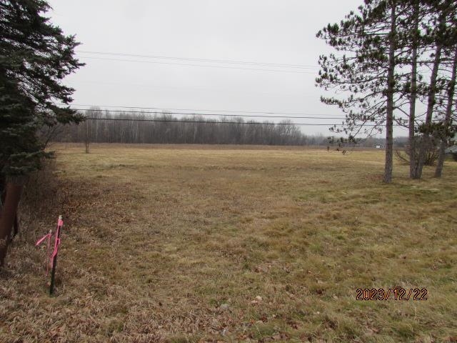 Tbd E Pickard Road Chippewa Township MI 48858