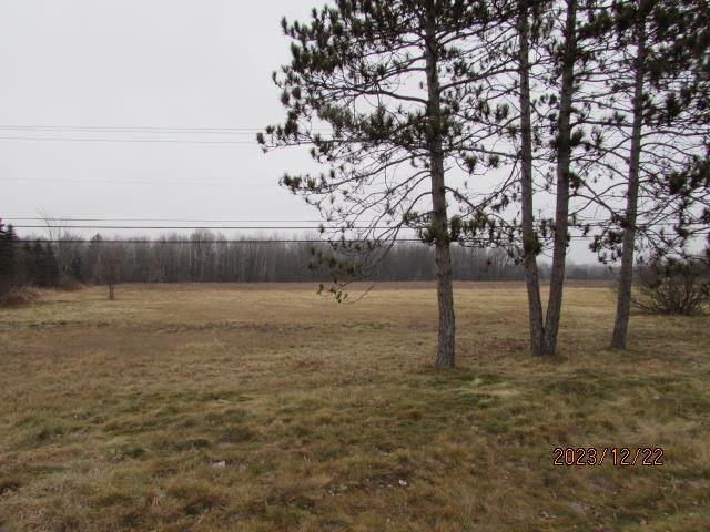 Tbd E Pickard Road Chippewa Township MI 48858
