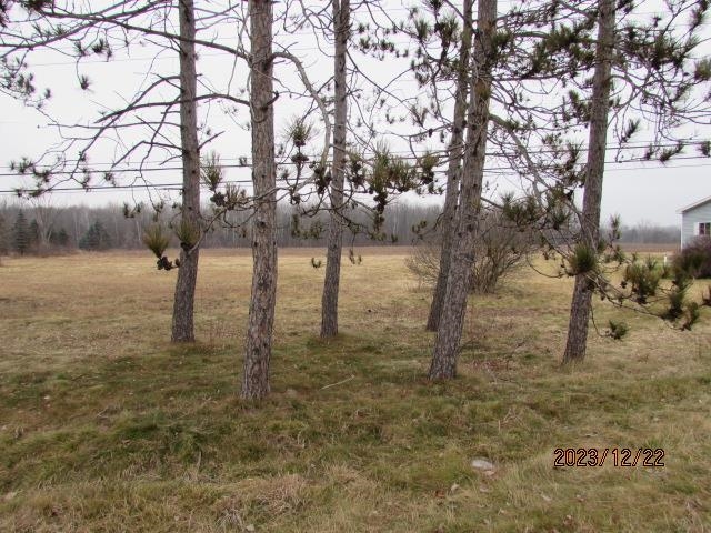 Tbd E Pickard Road Chippewa Township MI 48858