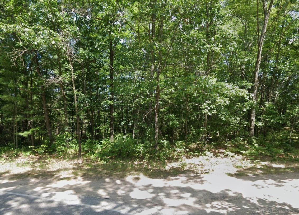 8656 N Blair Drive Merrill Township MI 49309