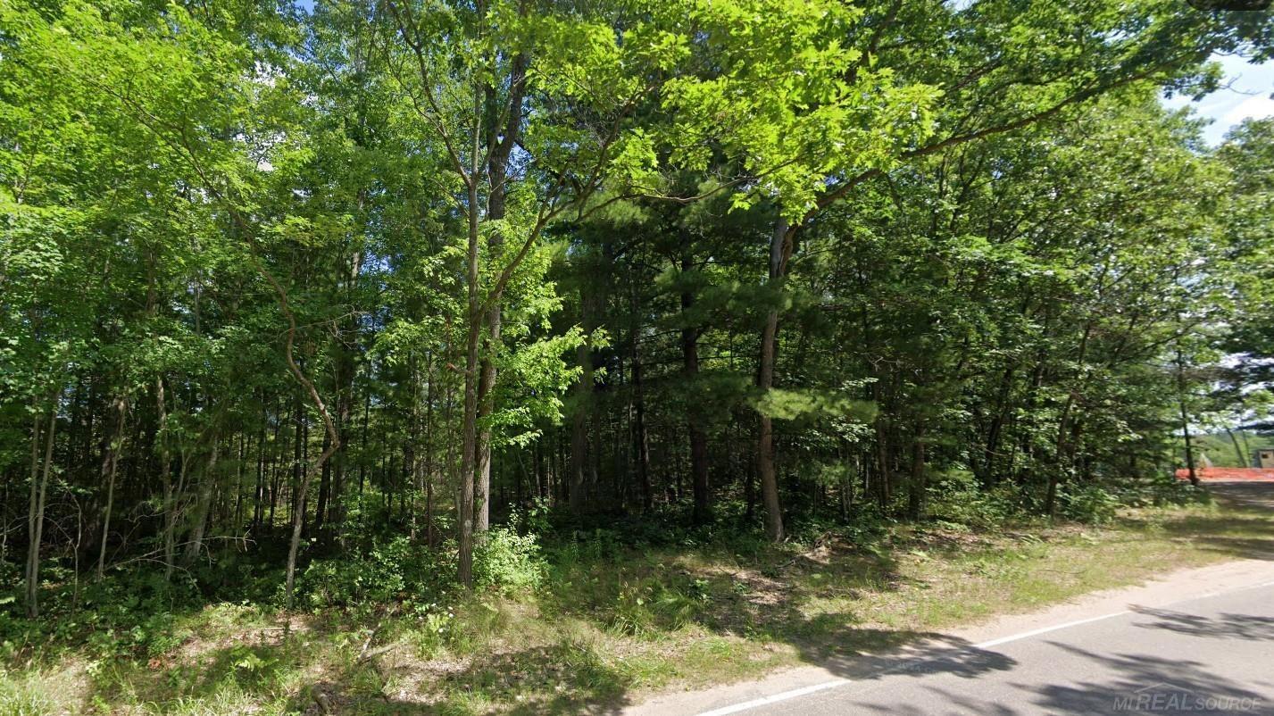 8656 N Blair Drive Merrill Township MI 49309