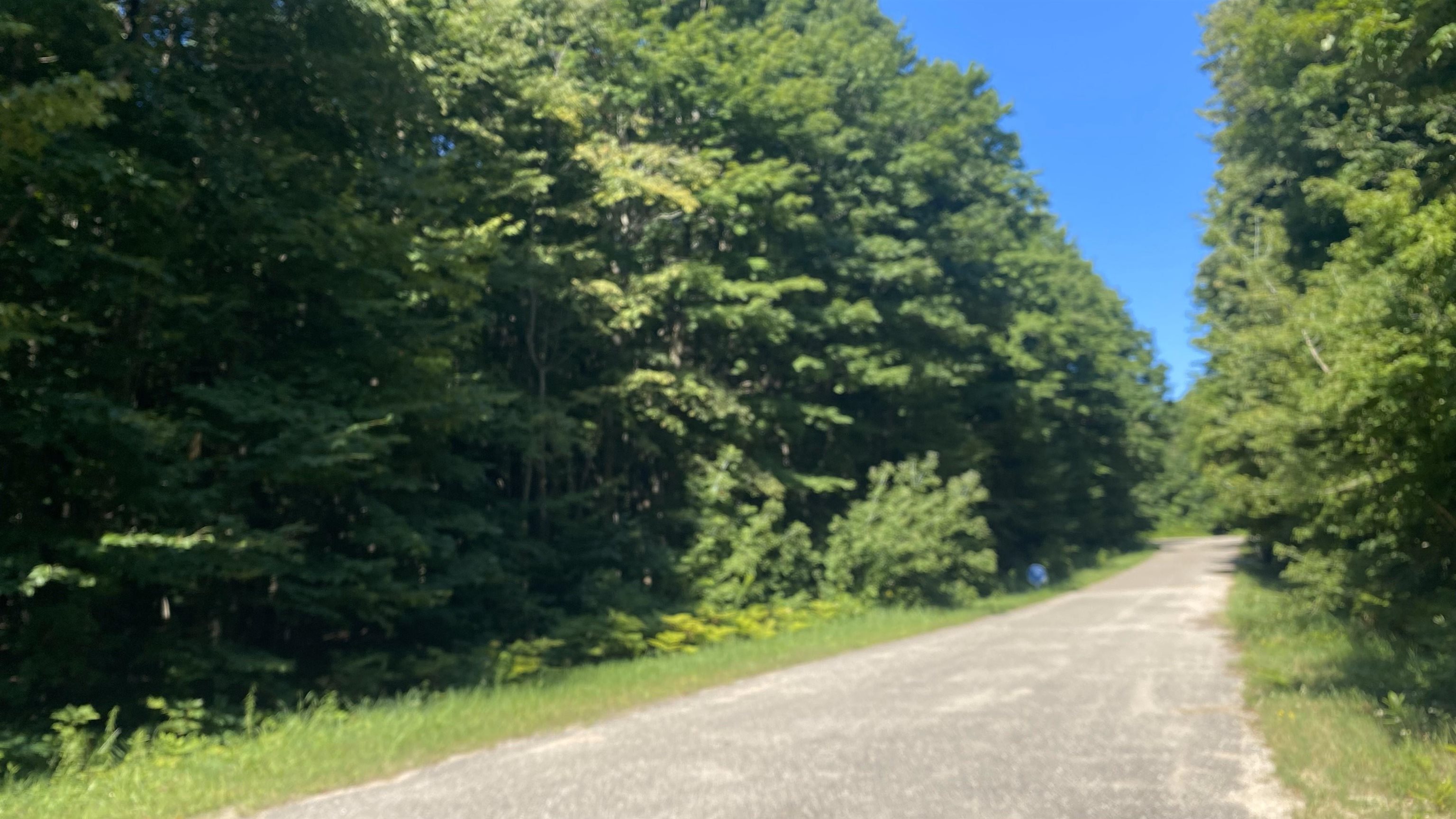 Lot 113 Forestgrove Court Star Township MI 49730
