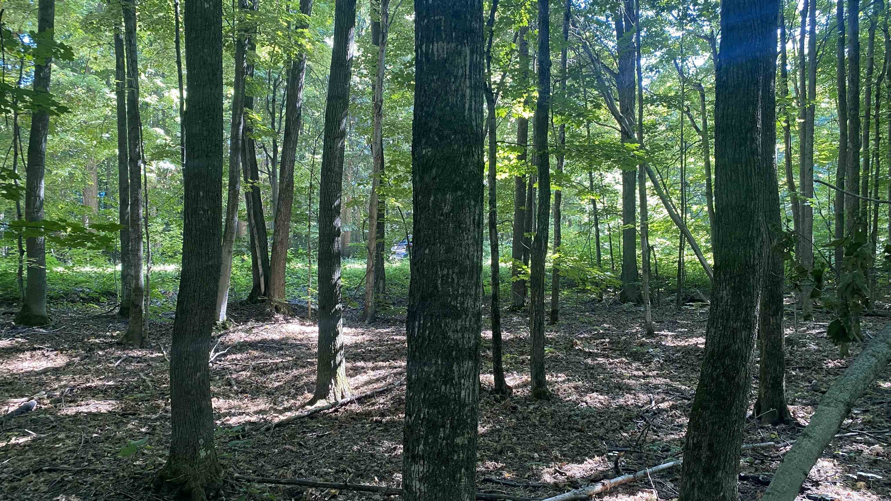 Lot 113 Forestgrove Court Star Township MI 49730