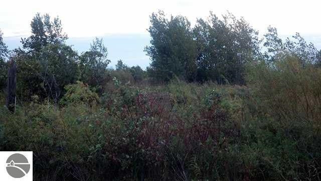 0 S Court Street Au Gres Township MI 48703