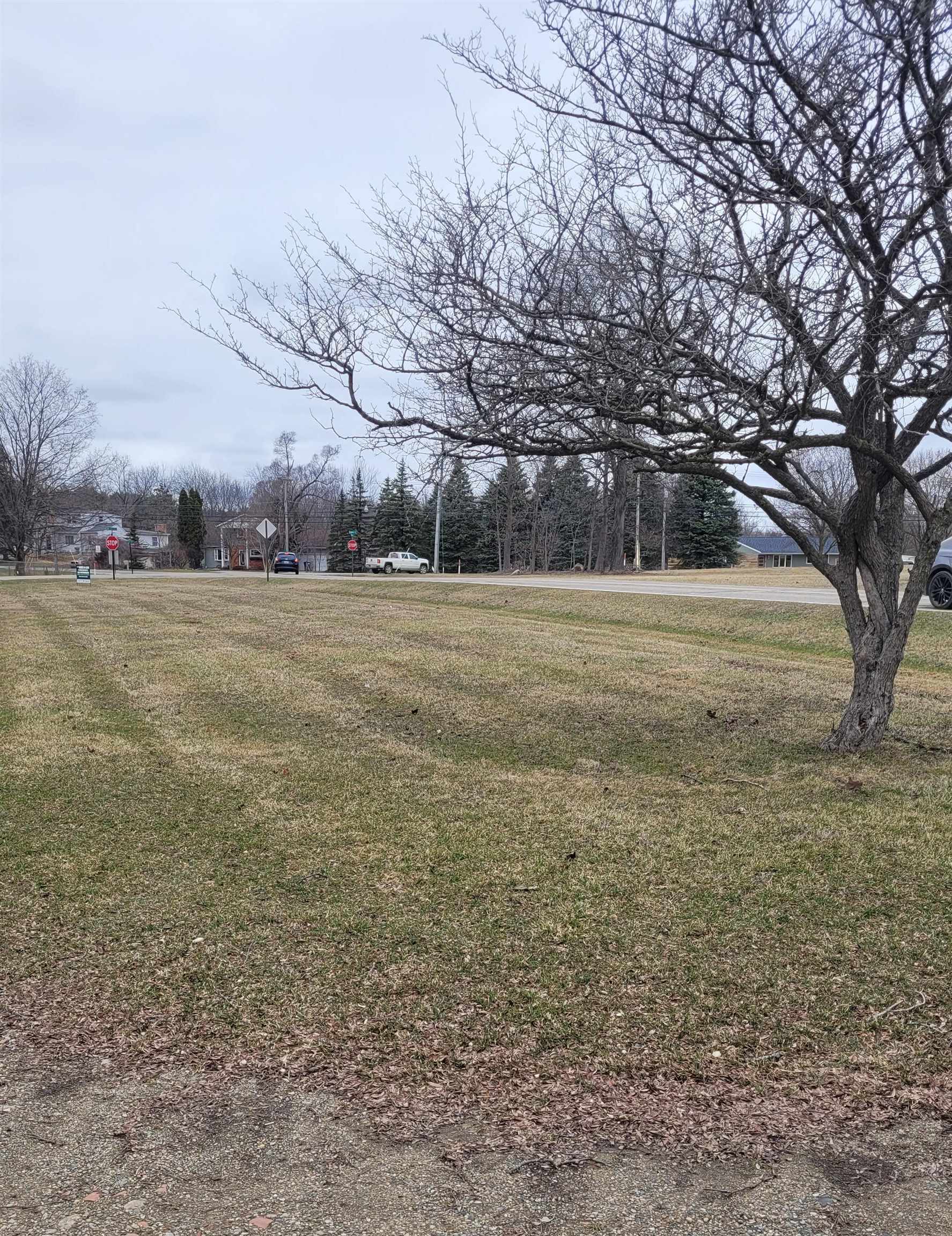 0 Hintz Road Caledonia Charter Township MI 48867