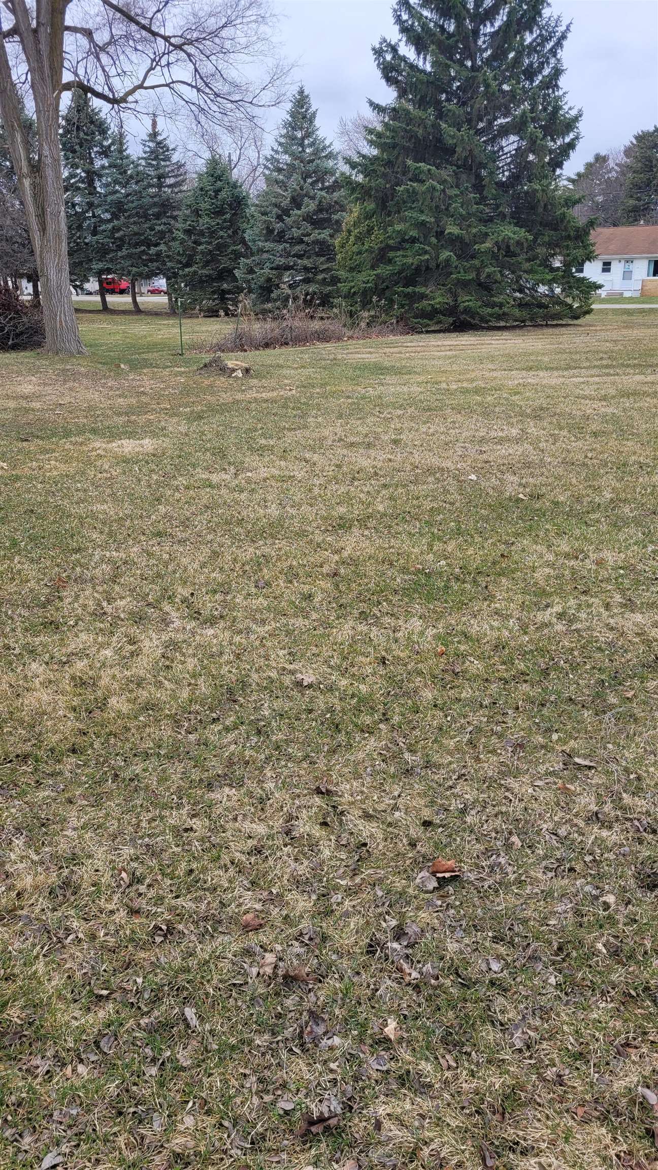 0 Hintz Road Caledonia Charter Township MI 48867