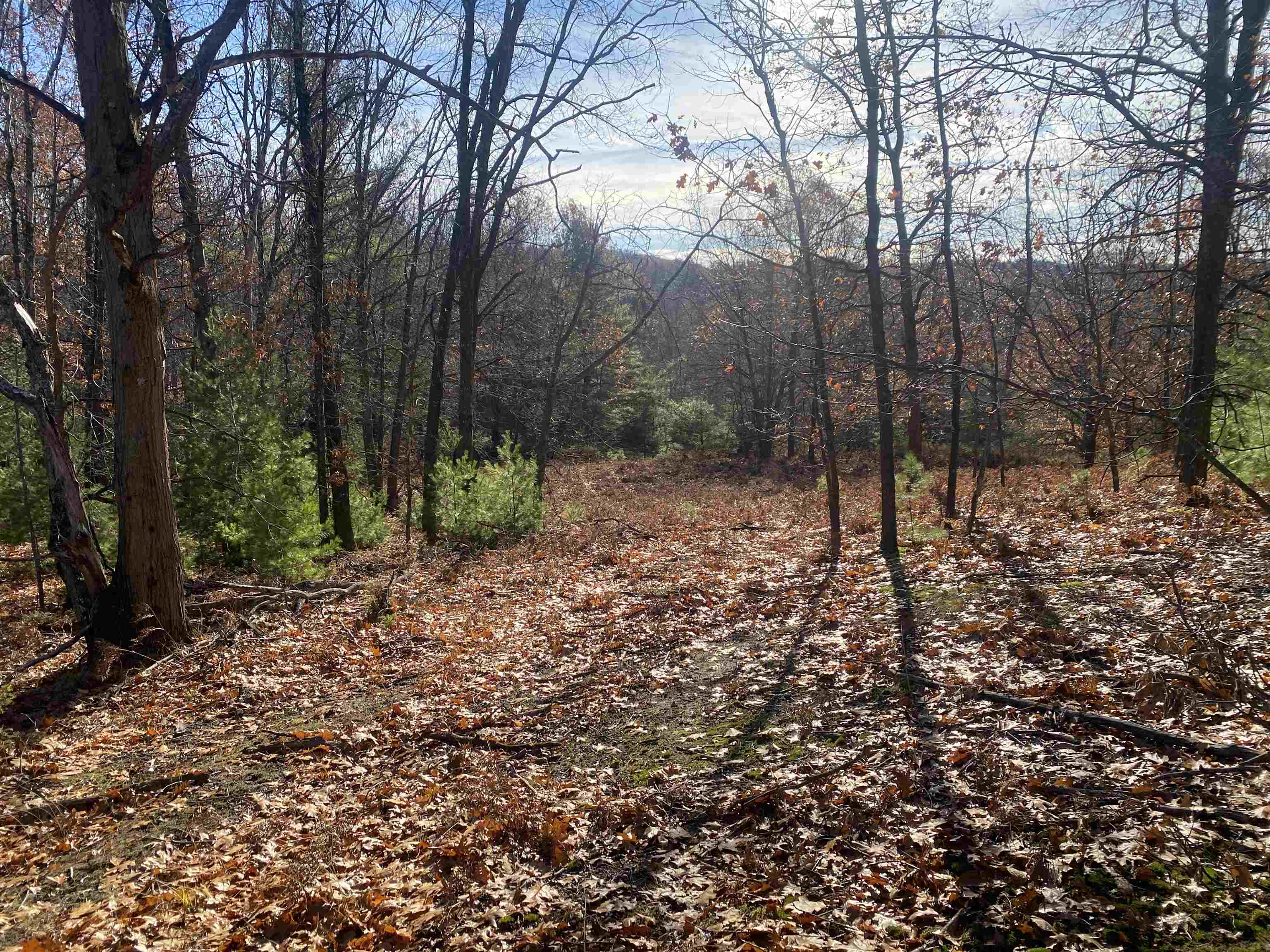 000 E Hammond East Bay Township MI 49686
