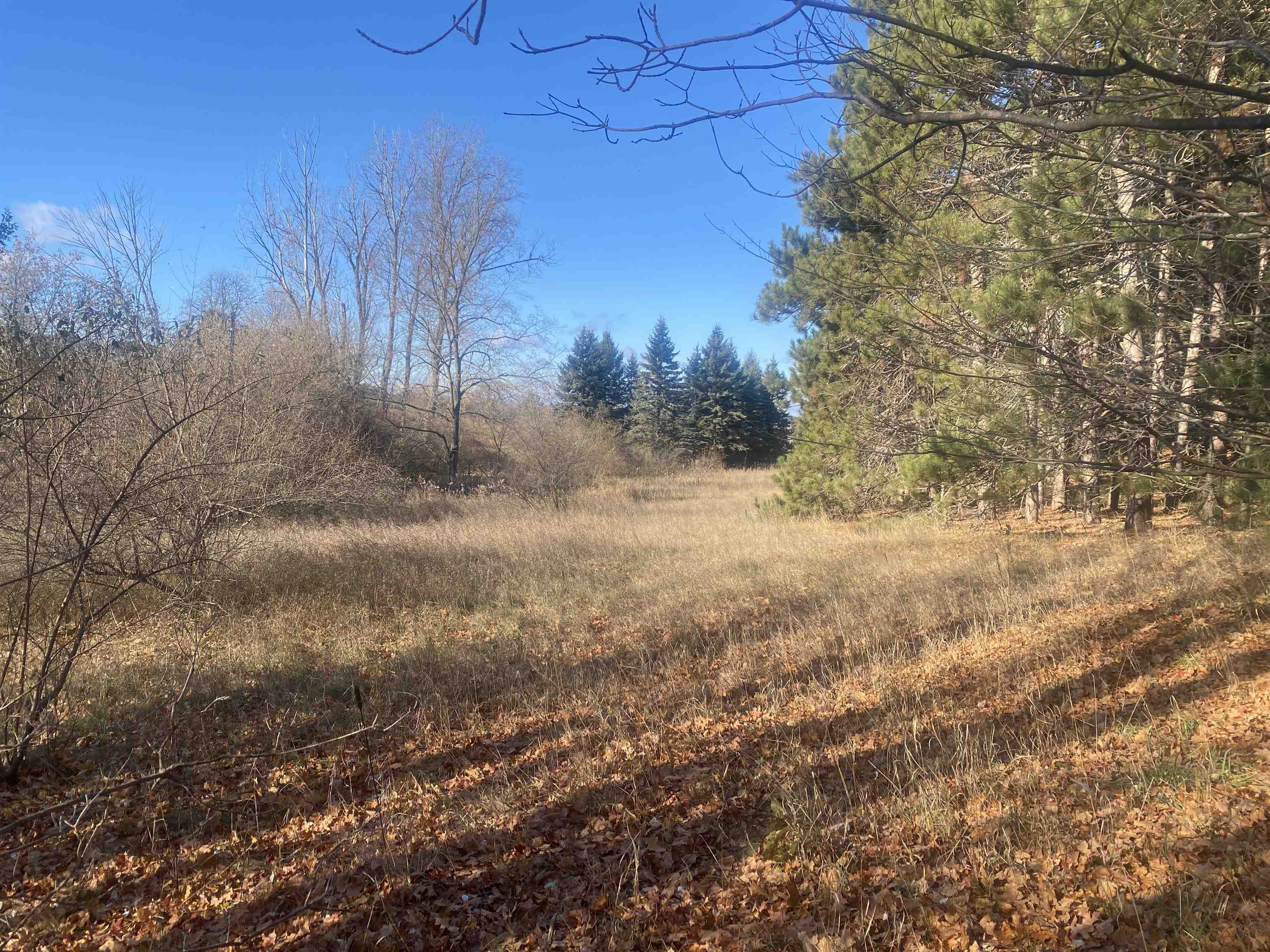 000 E Hammond East Bay Township MI 49686