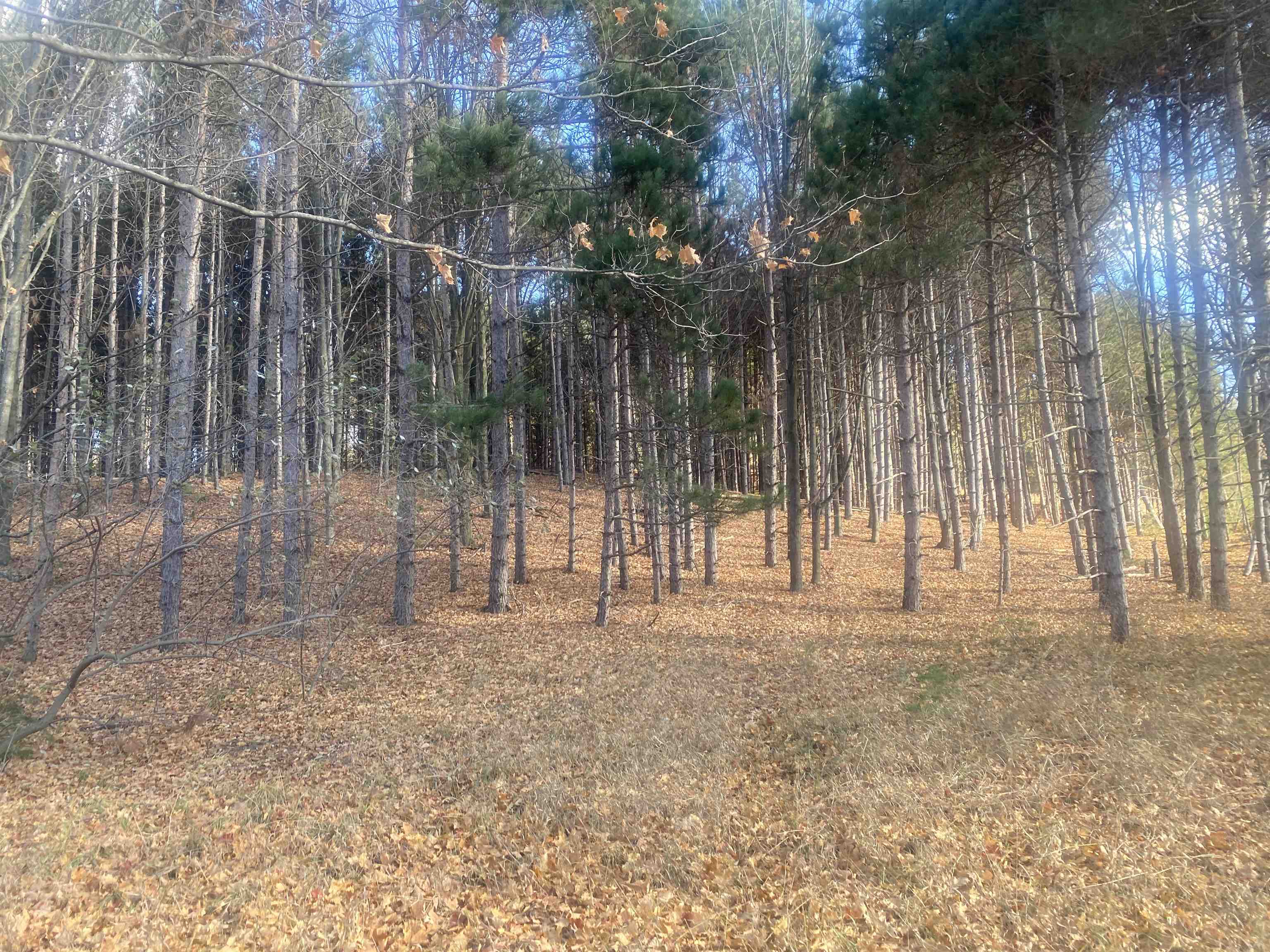 000 E Hammond East Bay Township MI 49686