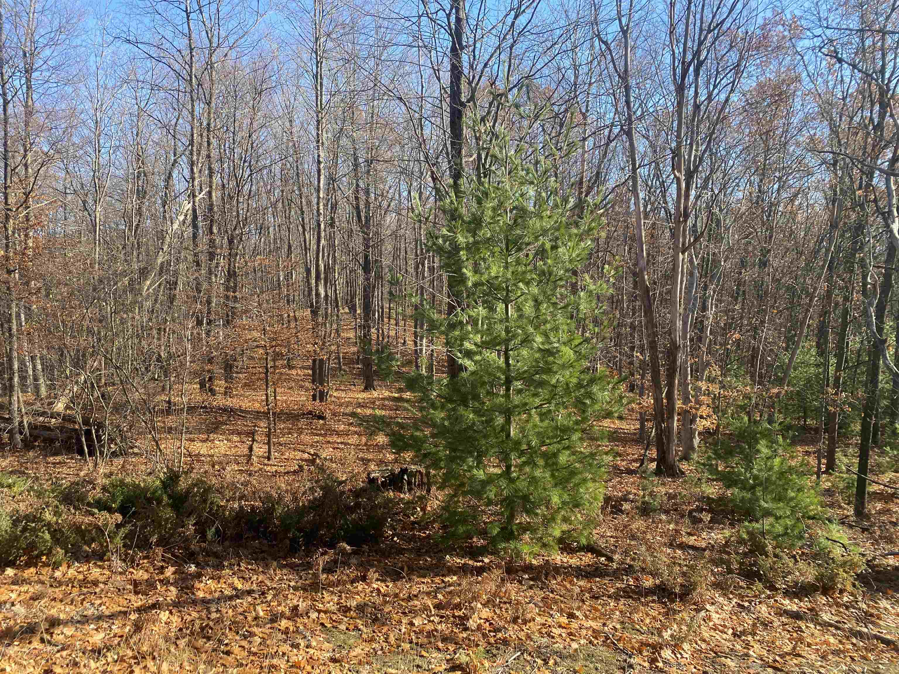 000 E Hammond East Bay Township MI 49686