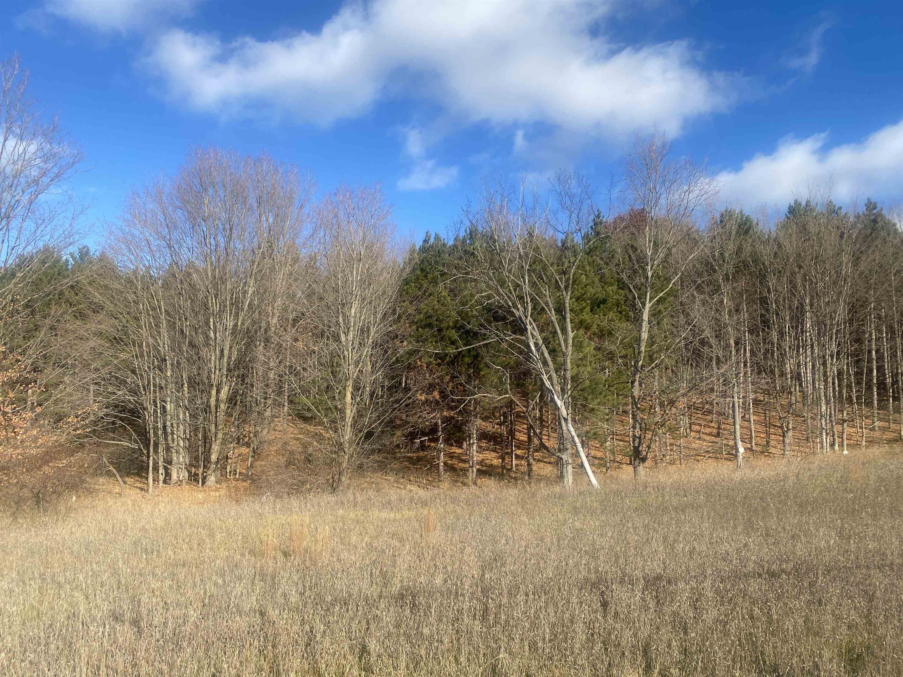 000 E Hammond East Bay Township MI 49686