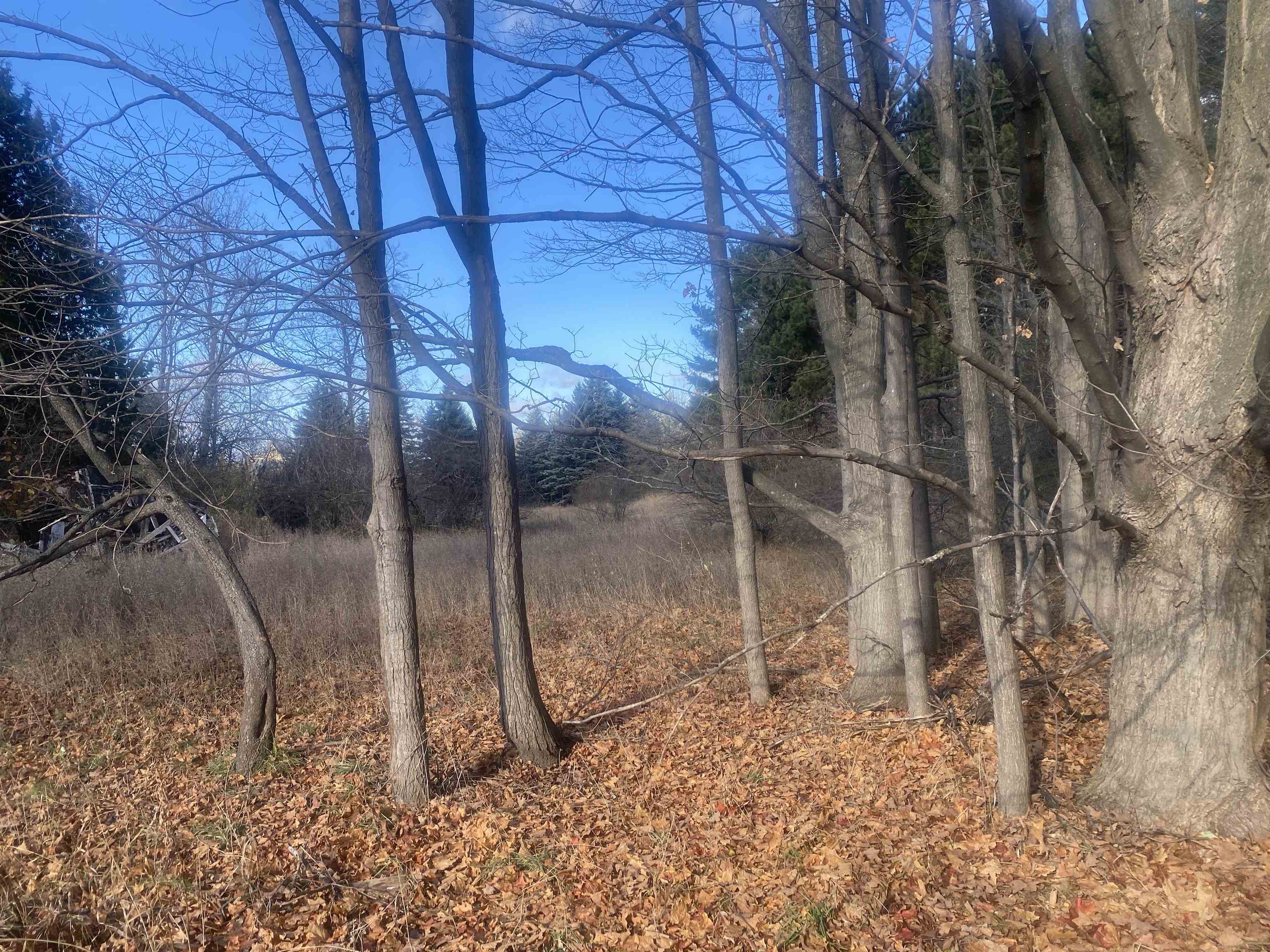000 E Hammond East Bay Township MI 49686