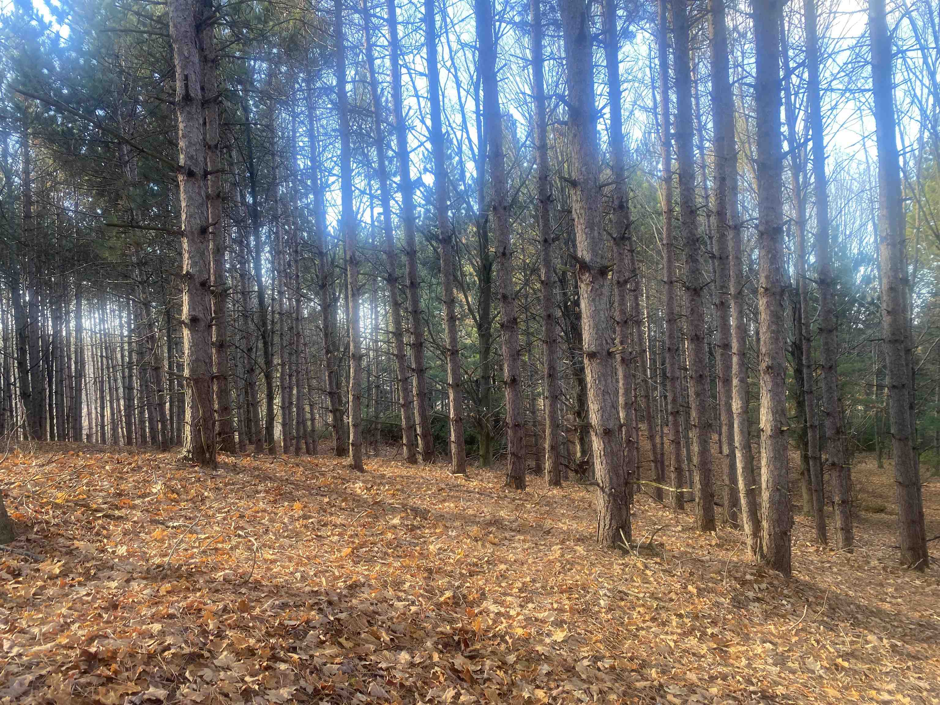 000 E Hammond East Bay Township MI 49686
