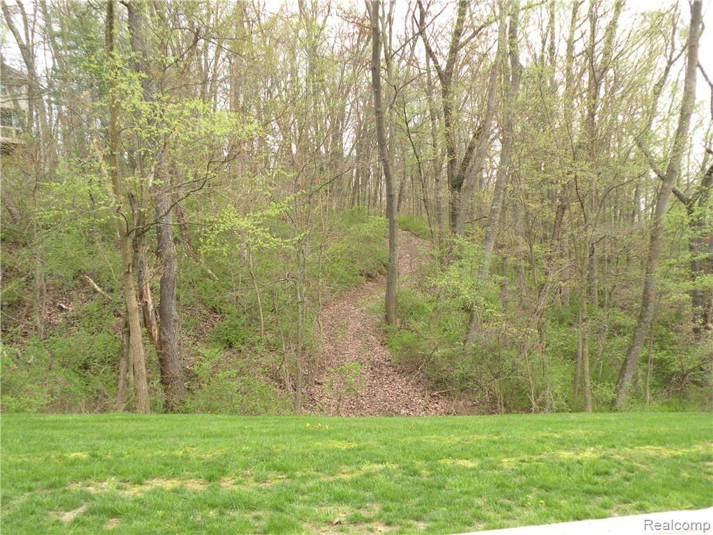 Lot 37 Alta Vista Drive Hamburg Township MI 48169