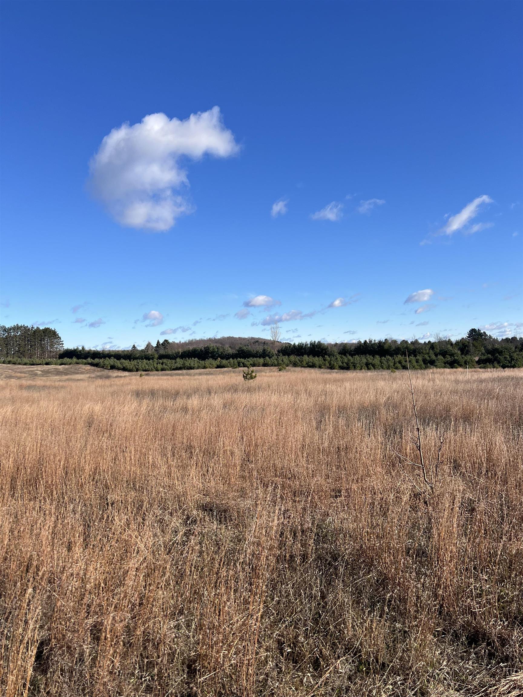 Vacant Land Johnson Road Custer Township MI 49615