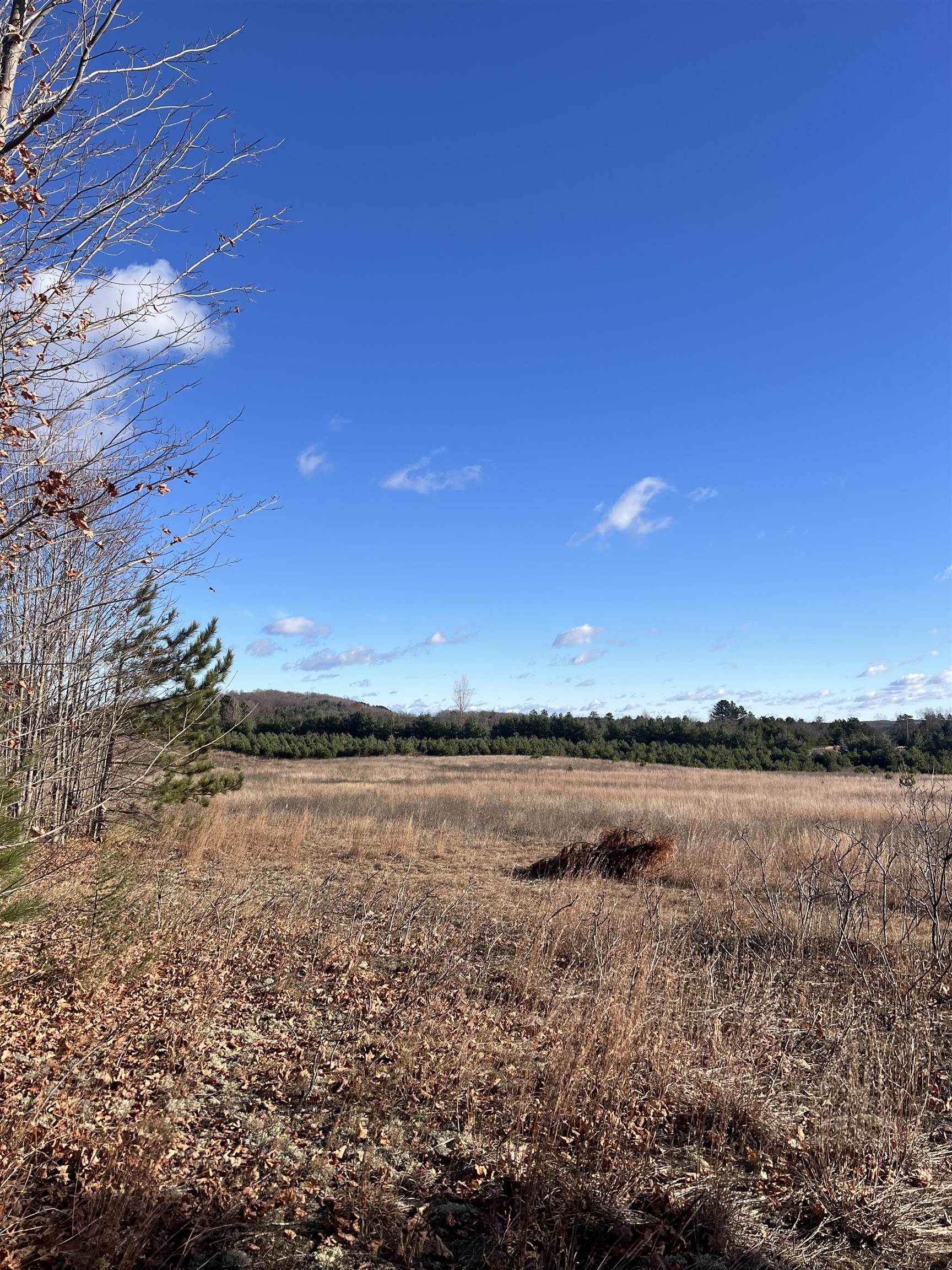 Vacant Land Johnson Road Custer Township MI 49615