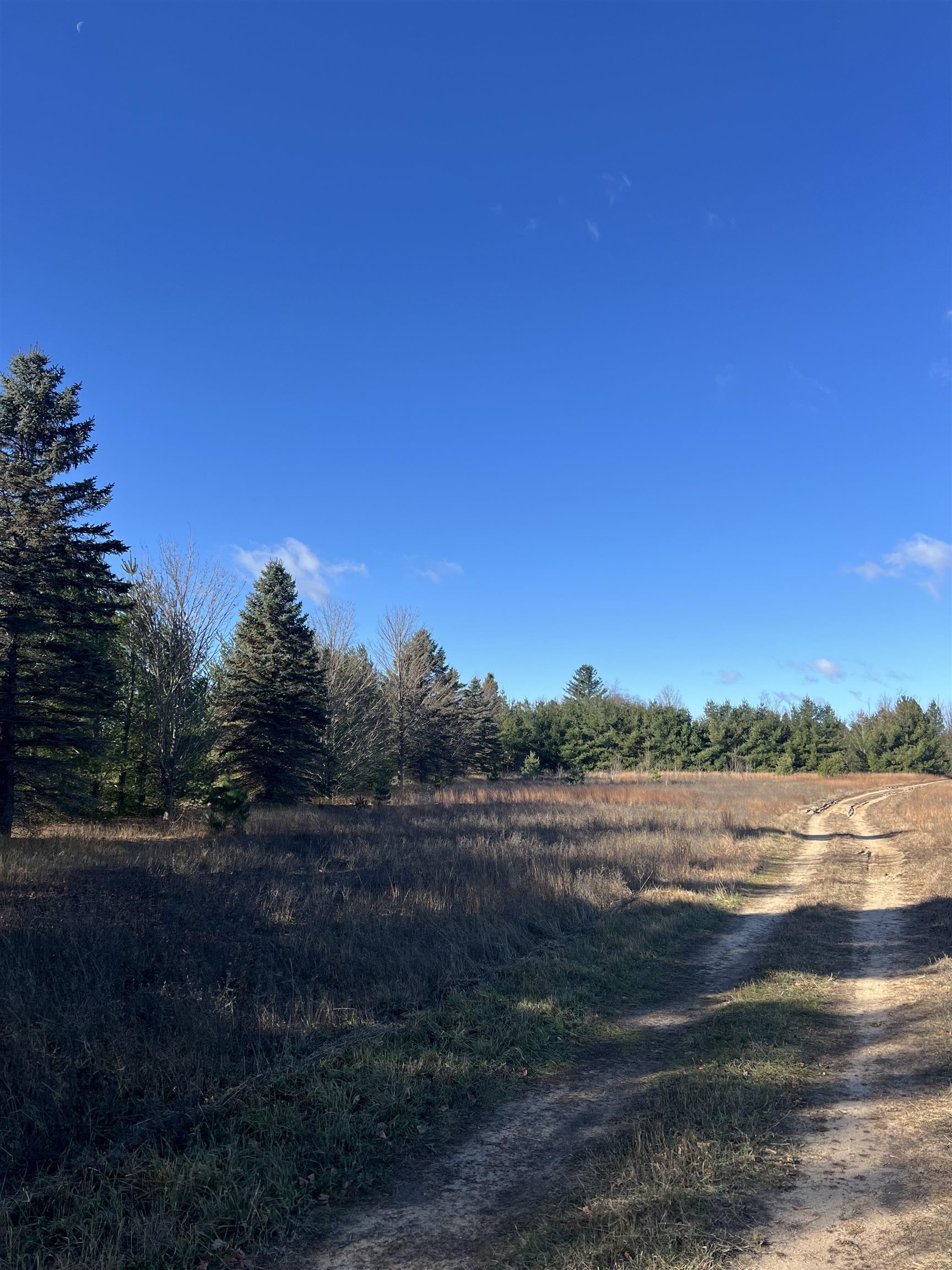 Vacant Land Johnson Road Custer Township MI 49615