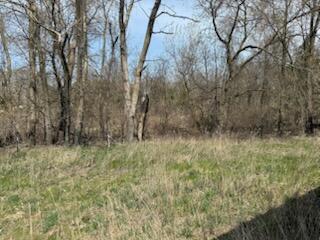 5019 S Townhall Road Evergreen Township MI 48884