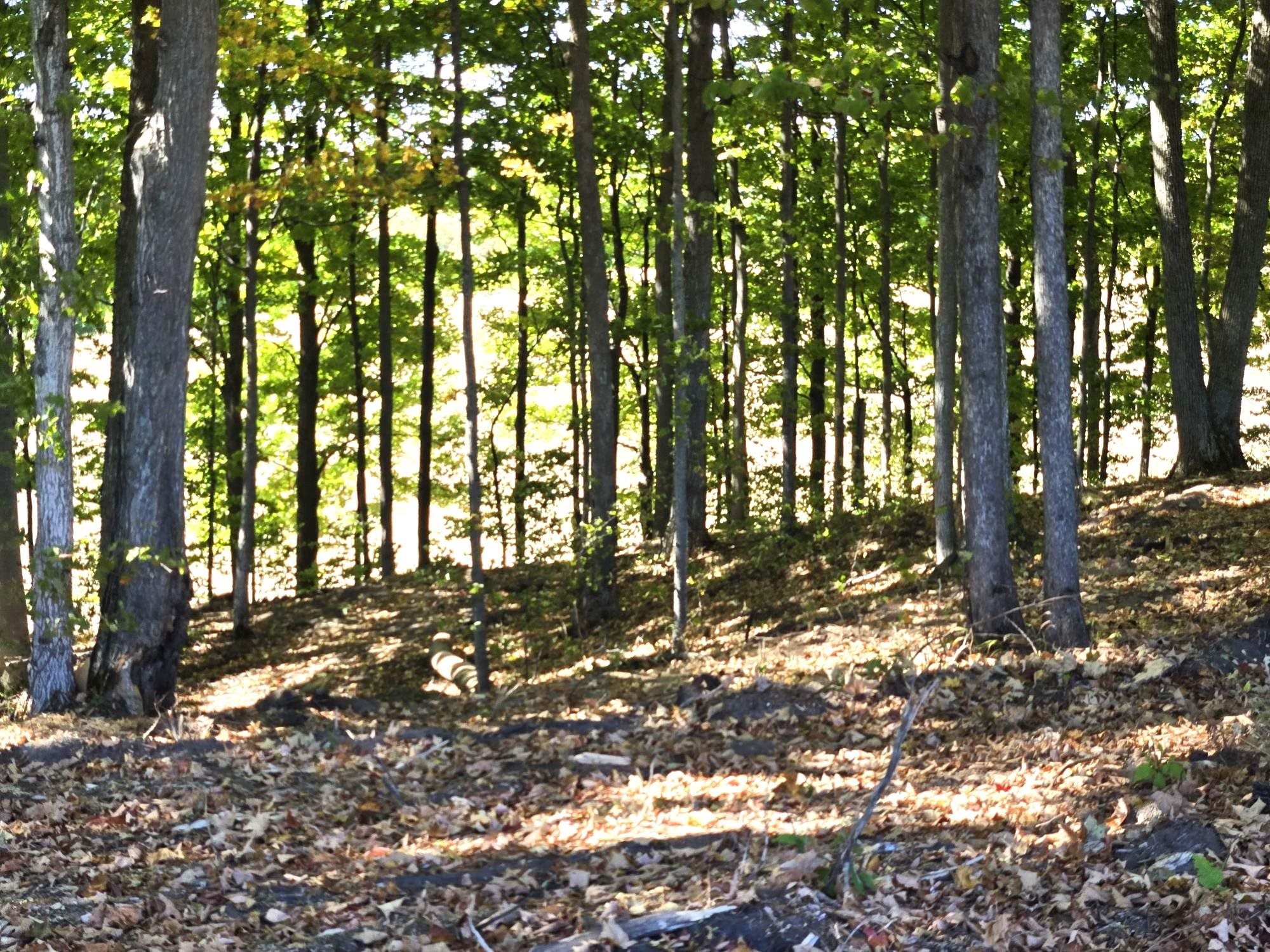 008 Heather Ridge Trail Homestead Township MI 49617